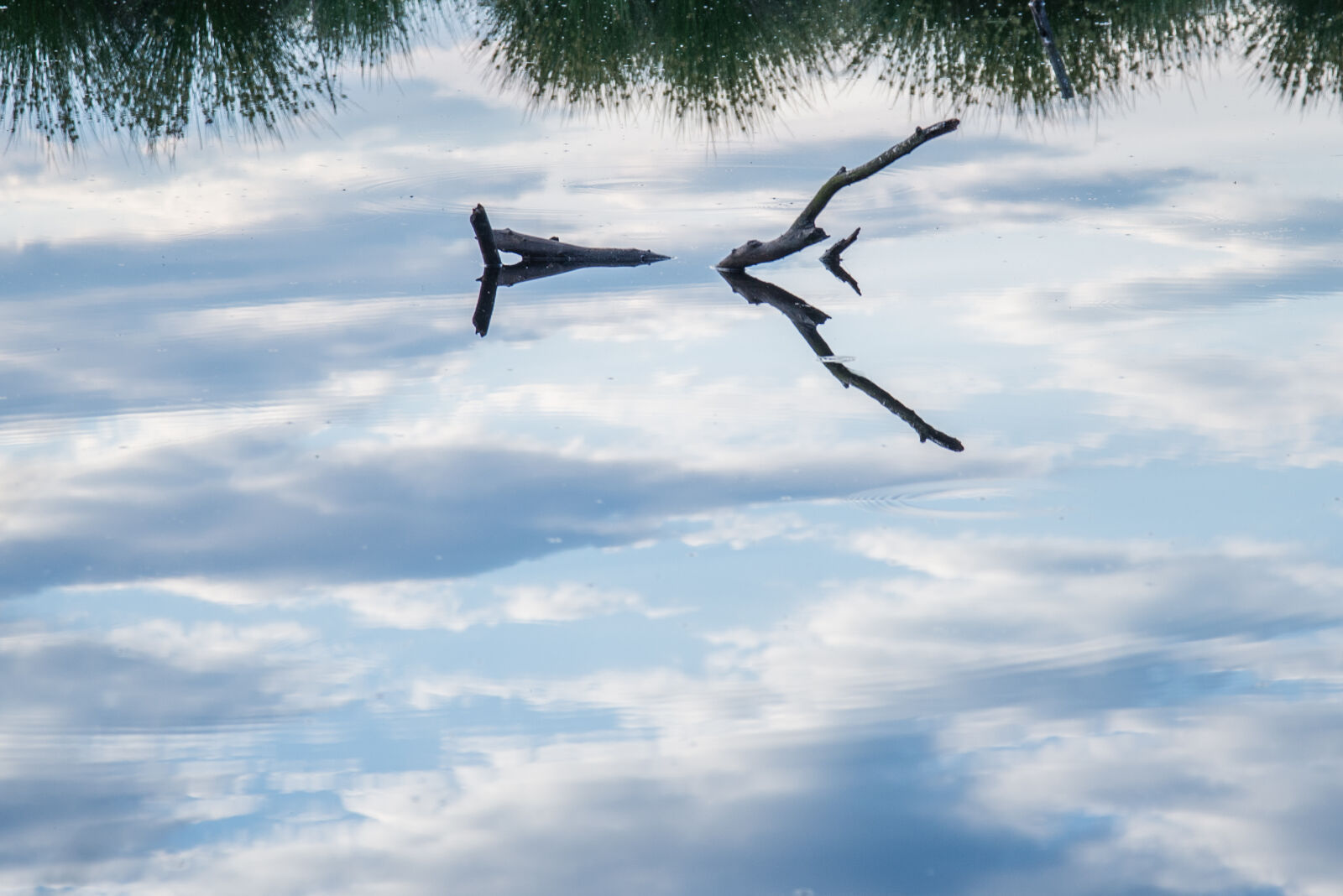 Nikon D600 sample photo. Blue, brench, clouds, lake photography