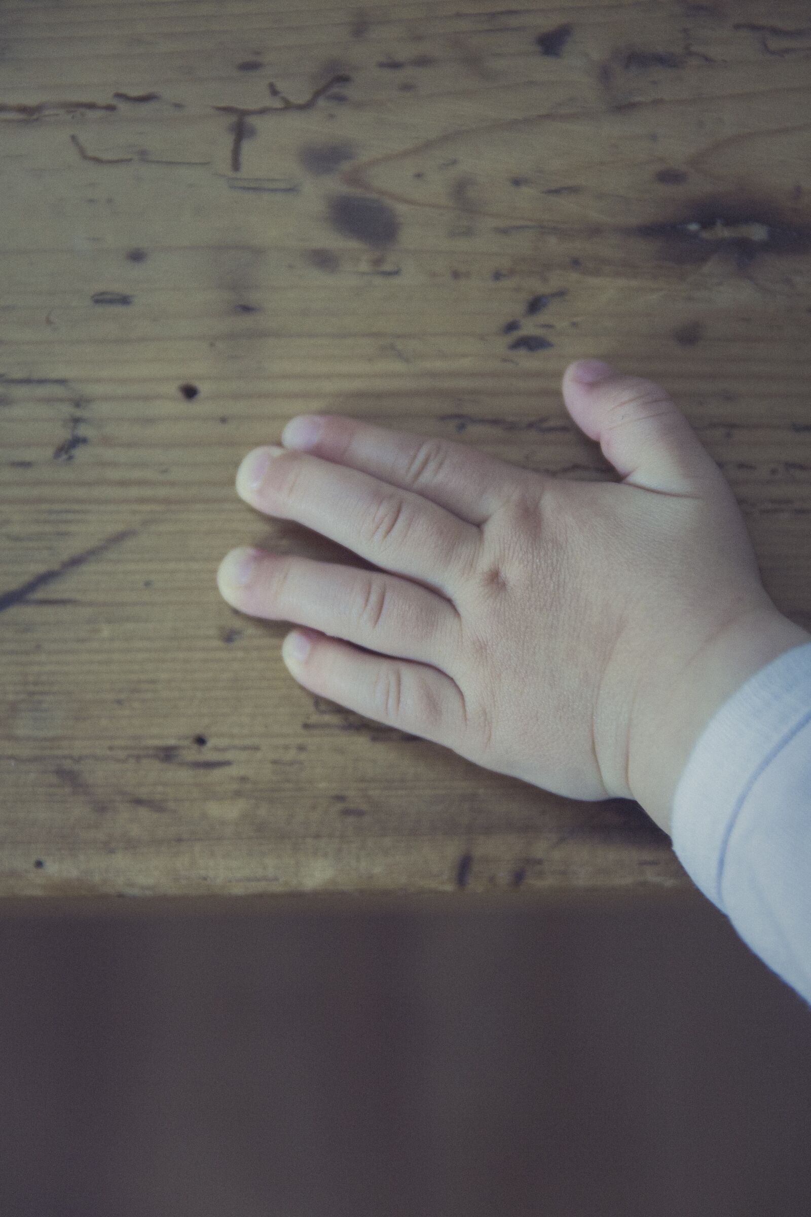 Canon EF 24-70mm F2.8L II USM sample photo. Child, hand, children photography