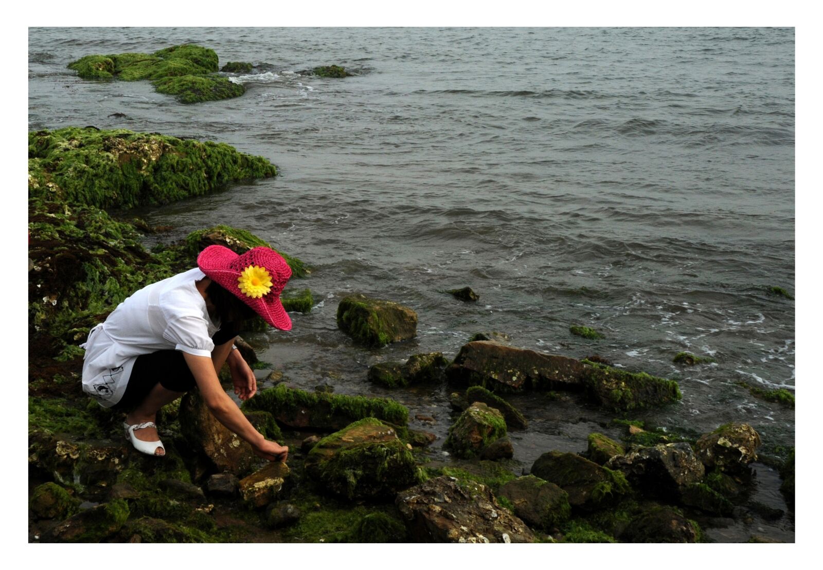 Nikon D700 sample photo. Sea, beach, beauty photography