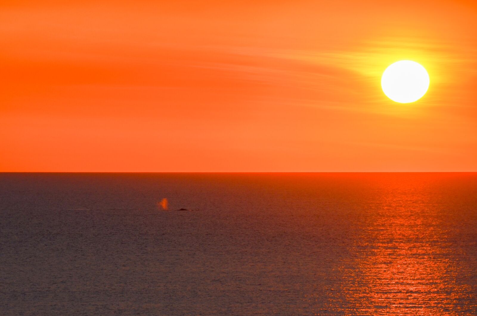 Nikon D5100 sample photo. Sunset, ocean, sky photography