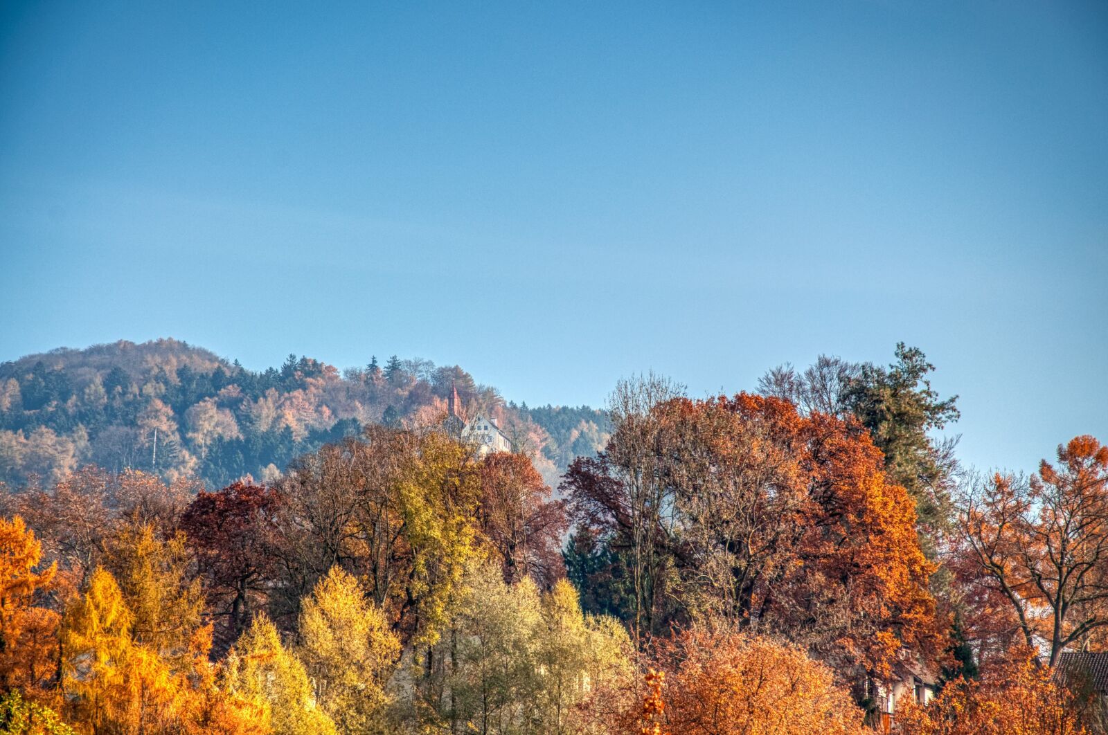 Nikon D5000 sample photo. Autumn, mixed forest, autumn photography