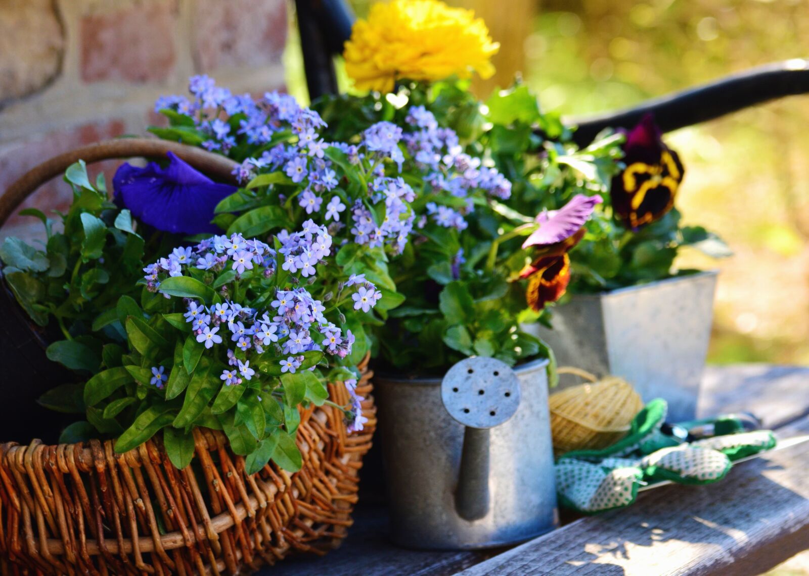 Nikon D5200 sample photo. Still life, basket, flower photography
