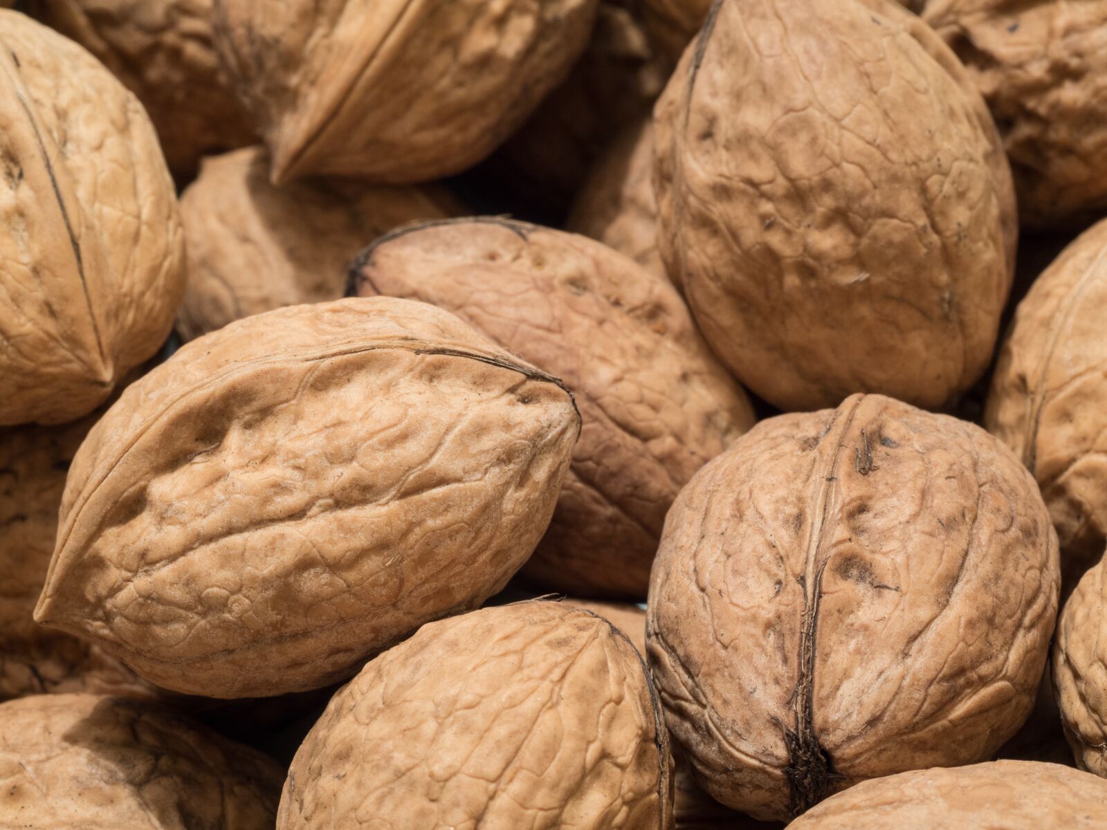 Olympus M.Zuiko Digital ED 60mm F2.8 Macro sample photo. Walnut, nut, food photography