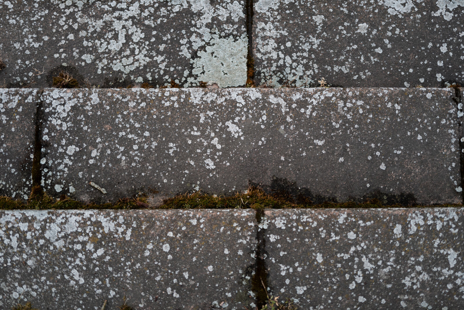 Leica Q3 sample photo. Old staircase photography