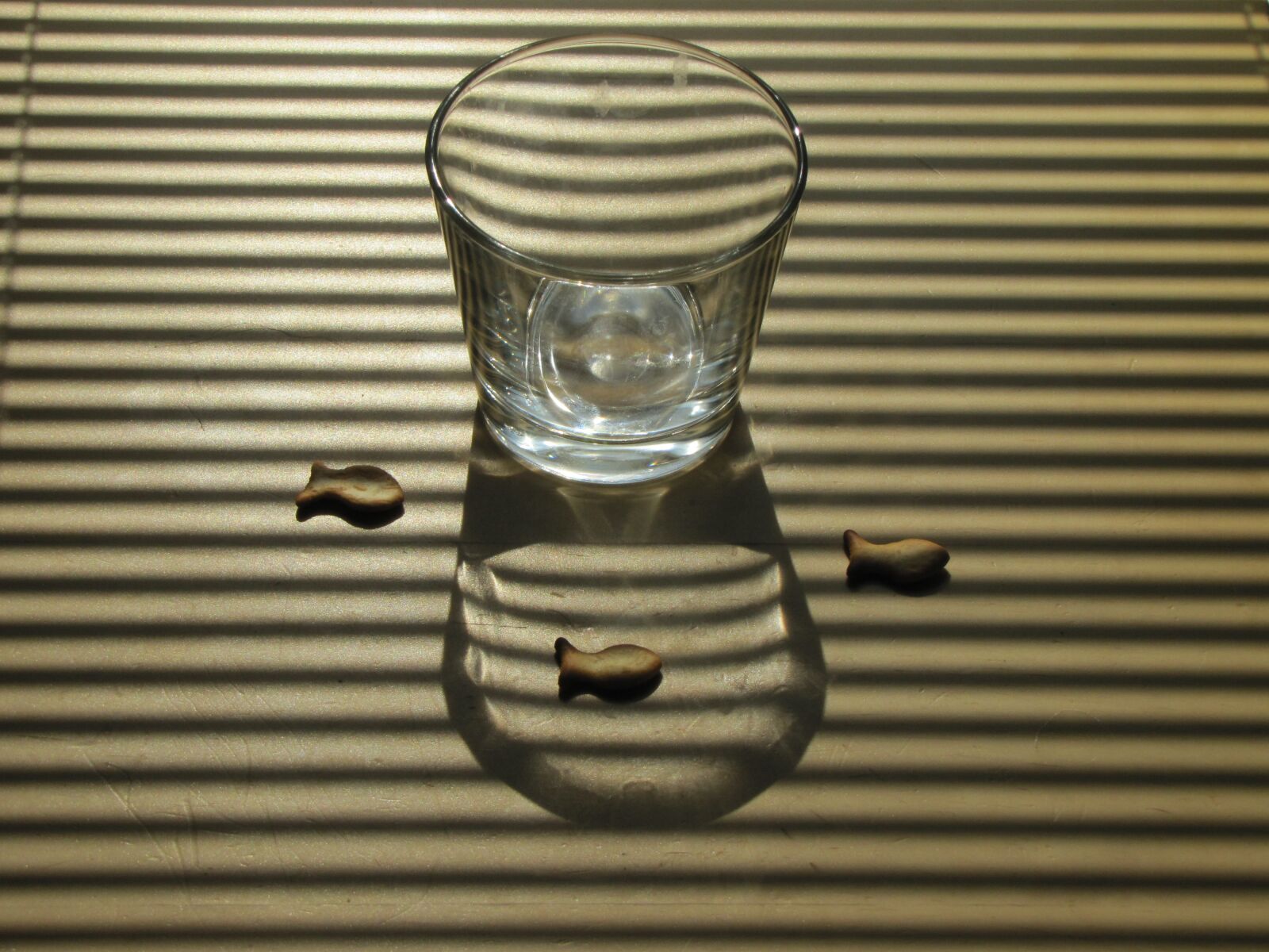 Canon PowerShot SX20 IS sample photo. Still life, fish, glass photography