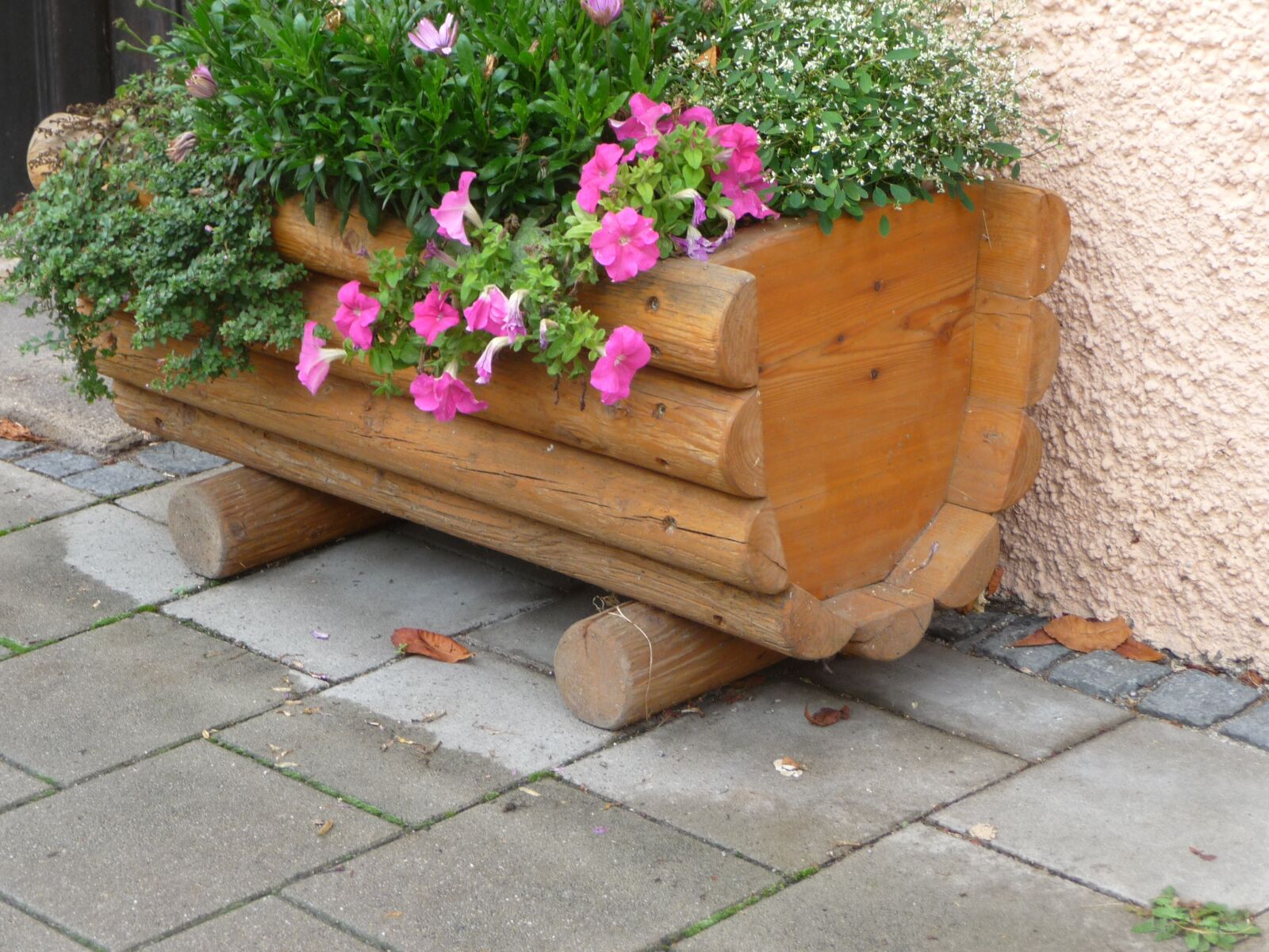 Panasonic Lumix DMC-TZ5 sample photo. Flower pot, wood, facade photography