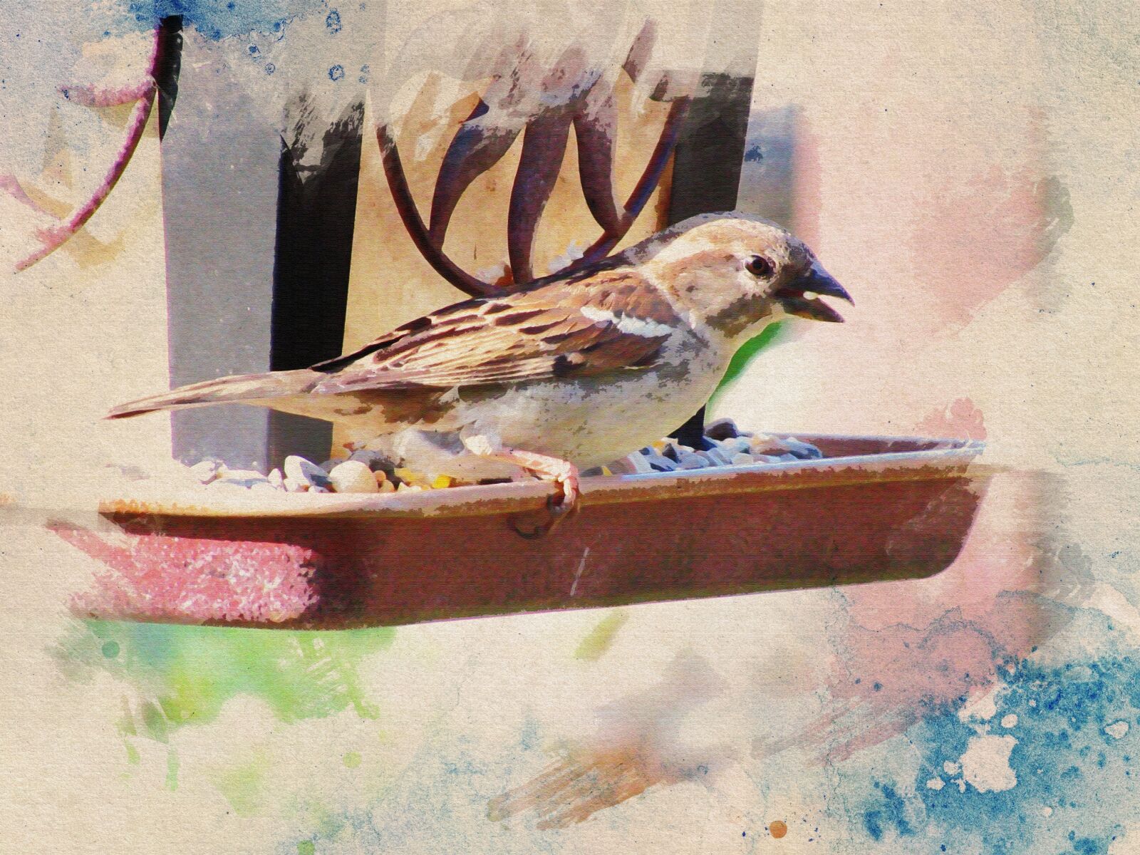 Canon PowerShot SX620 HS sample photo. Watercolor, bird, feeder photography