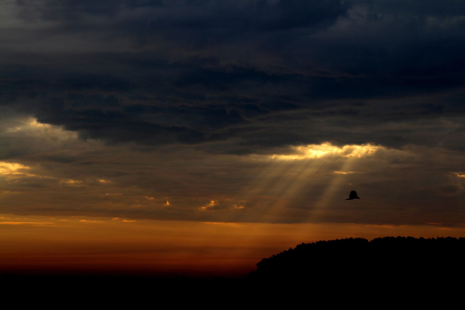 Canon EOS 700D (EOS Rebel T5i / EOS Kiss X7i) sample photo. Sky, cloud, twilight photography