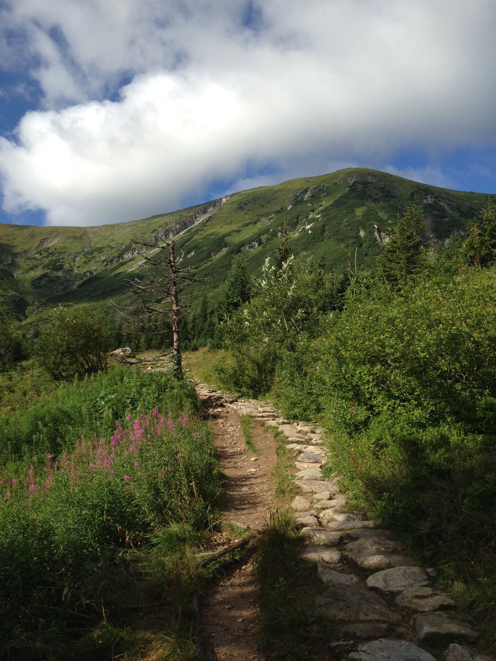 Apple iPhone 5c sample photo. Tatry, mountains, landscape photography