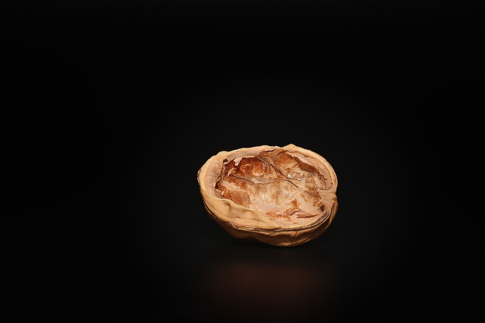 Nikon D7100 sample photo. Walnut, empty walnut, empty photography