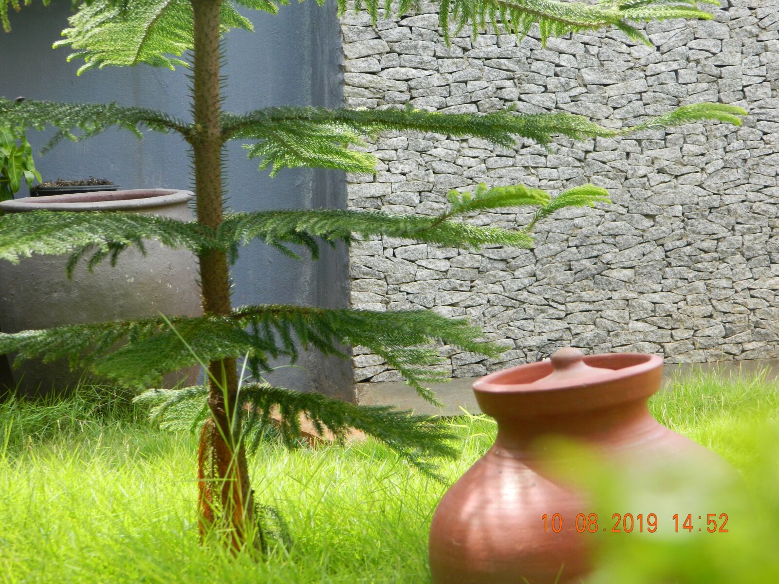 Nikon COOLPIX L310 sample photo. Garden, plants, gardening photography