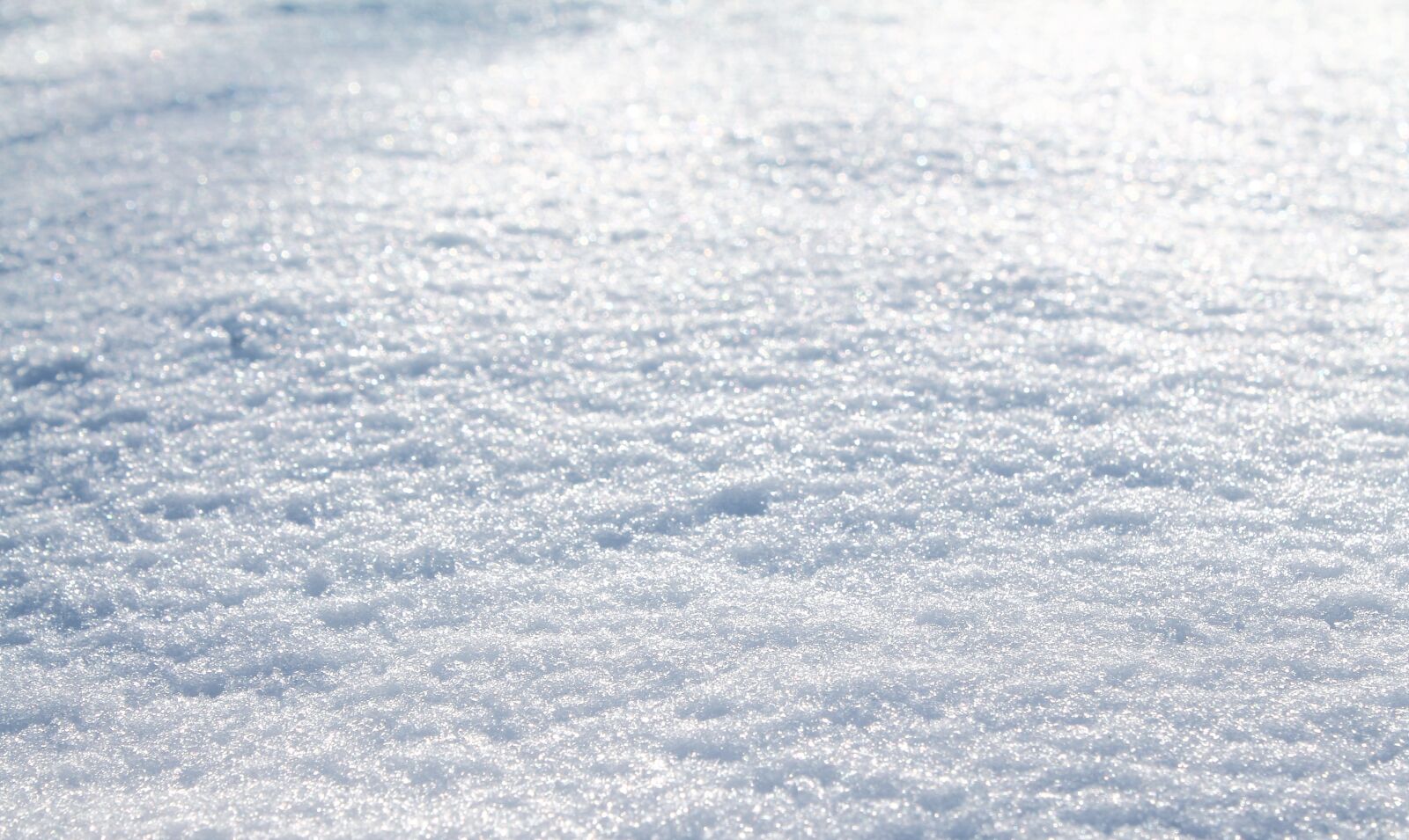 Canon EOS 1100D (EOS Rebel T3 / EOS Kiss X50) sample photo. Snow, winter, cold photography