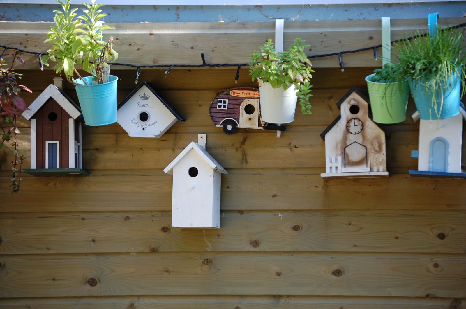 Nikon D40 sample photo. Birdhouse, nature, bird photography