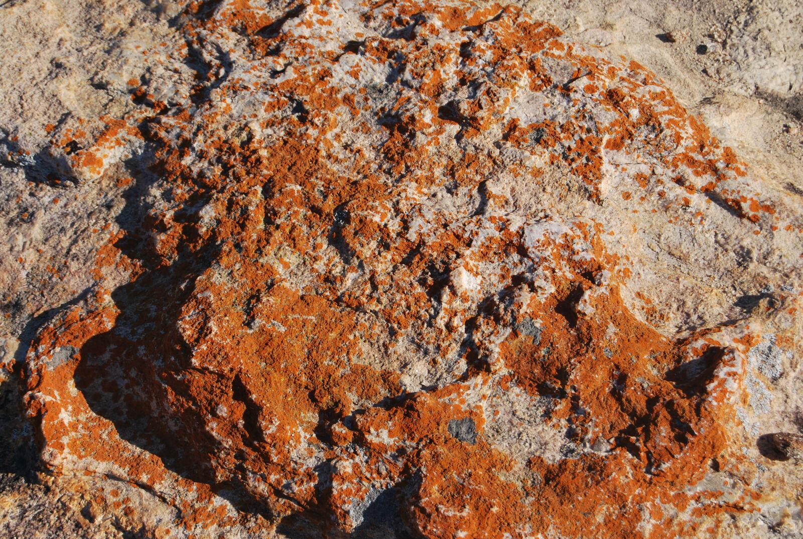Nikon D60 sample photo. Rock, geology, stone photography
