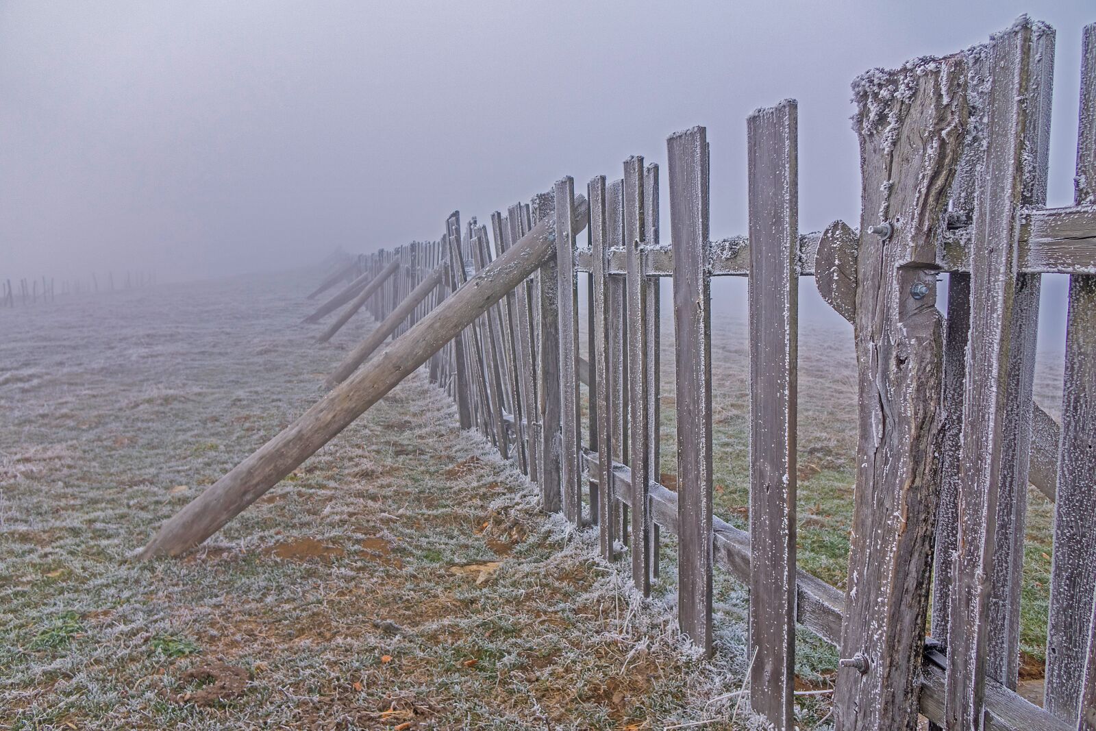 24-200mm F2.8 sample photo. Frost, fog, snow protection photography