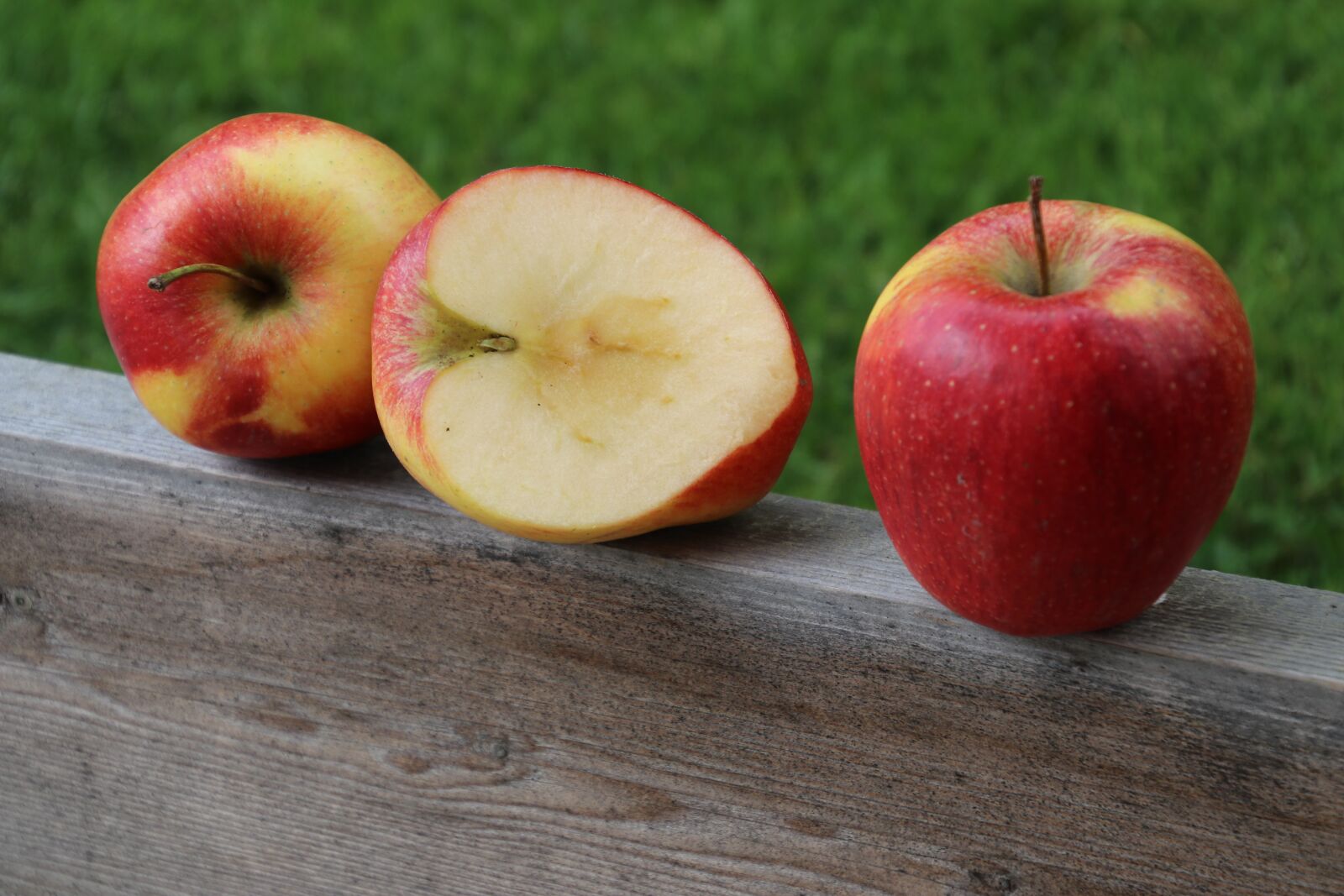 Canon EOS 80D sample photo. Apples, red, bio photography