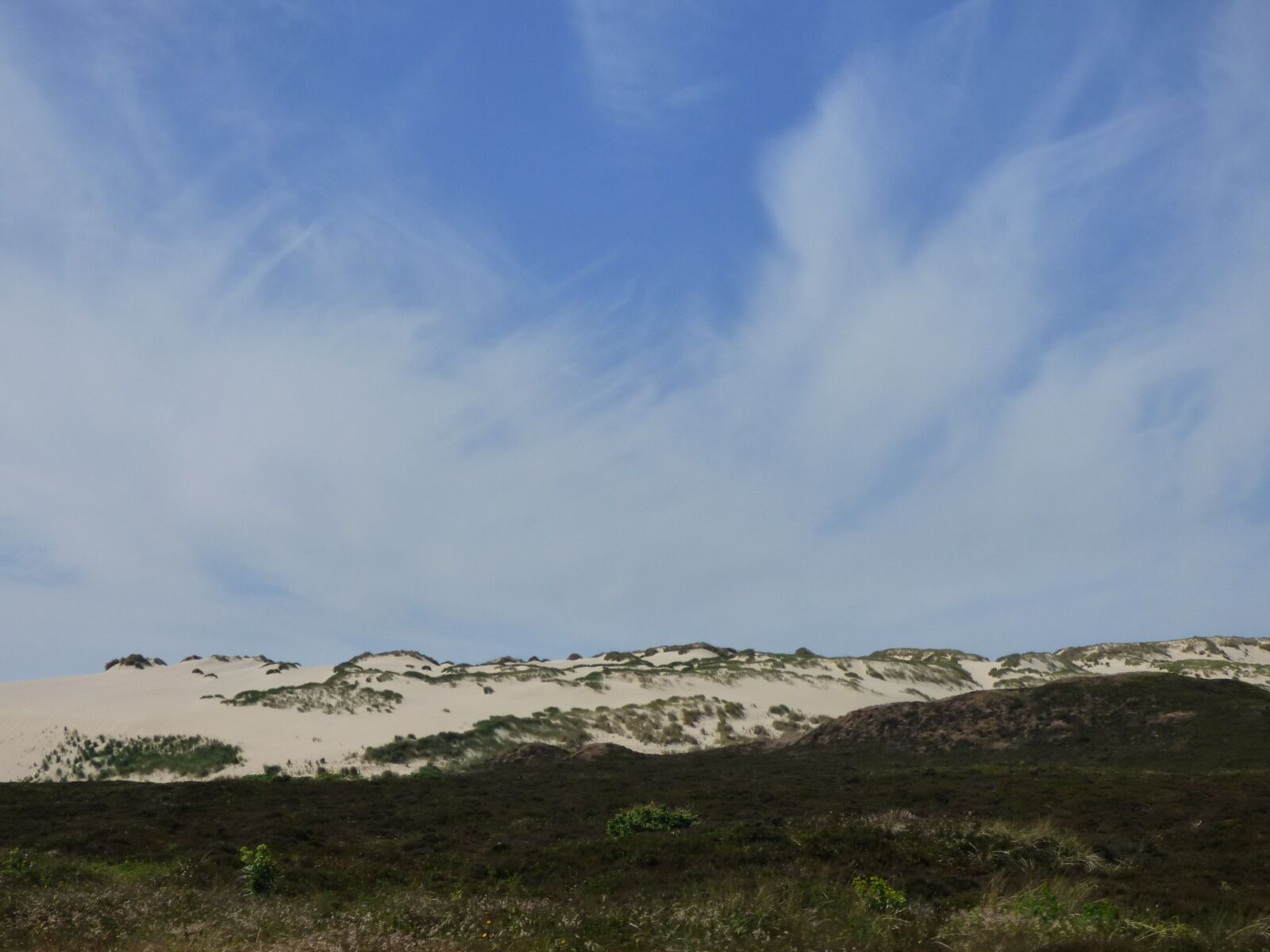 Panasonic DMC-FZ72 sample photo. Sylt, dunes, dune photography
