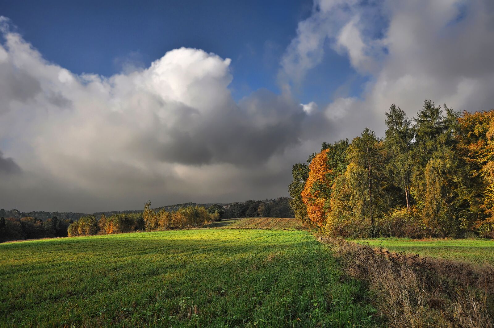Nikon D90 sample photo. Landscape, nature, clouds photography