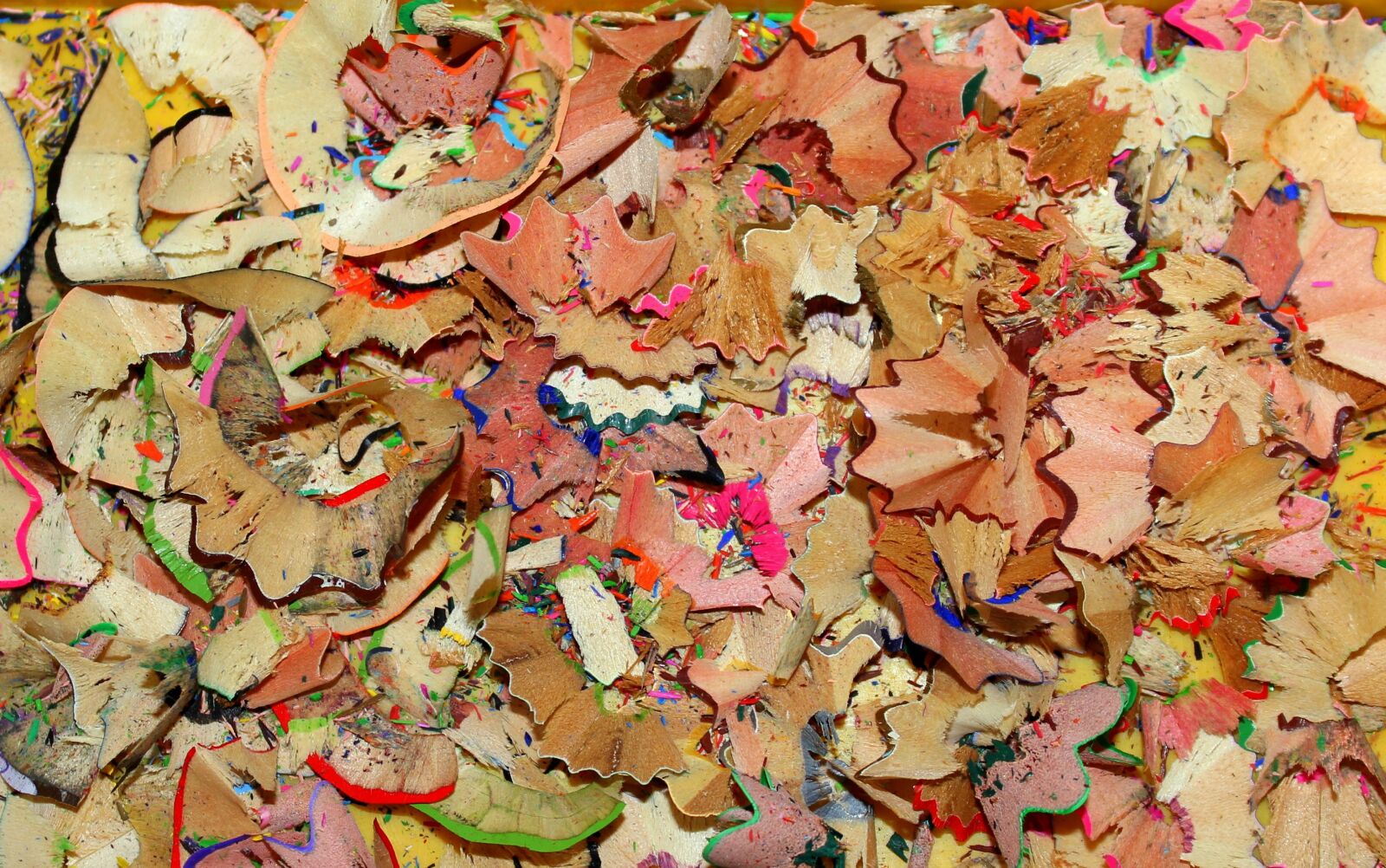 Canon EOS 1200D (EOS Rebel T5 / EOS Kiss X70 / EOS Hi) sample photo. Pencil sharpener, shavings, waste photography