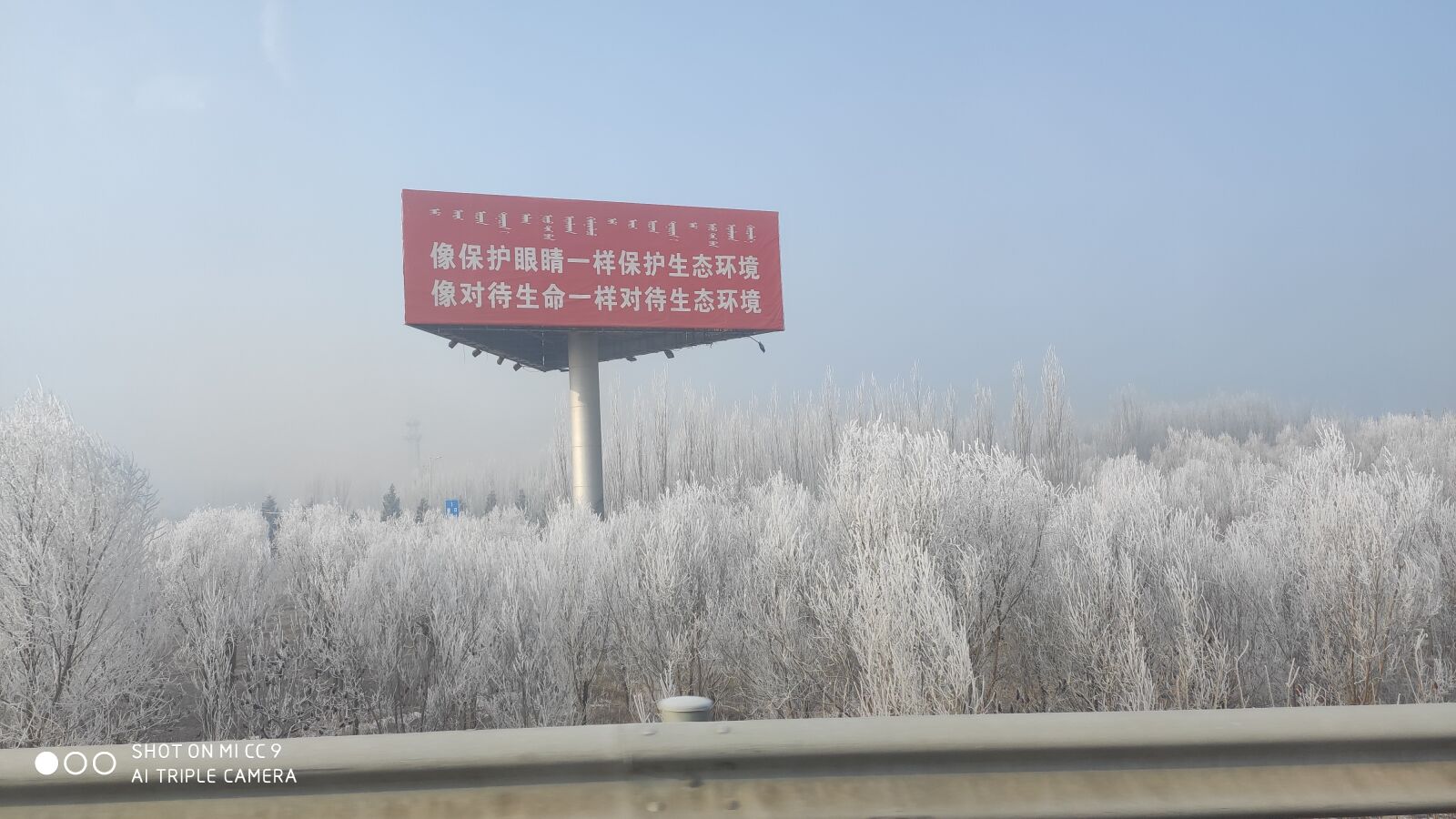 Xiaomi MI CC 9 sample photo. Trees, landsview, road photography
