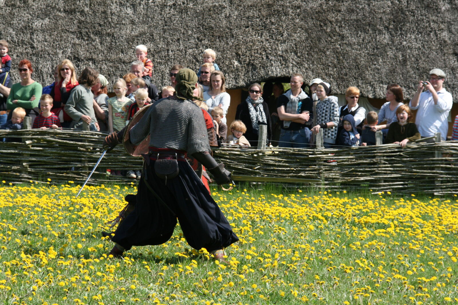 Sigma 18-200mm f/3.5-6.3 DC OS sample photo. Vikings photography
