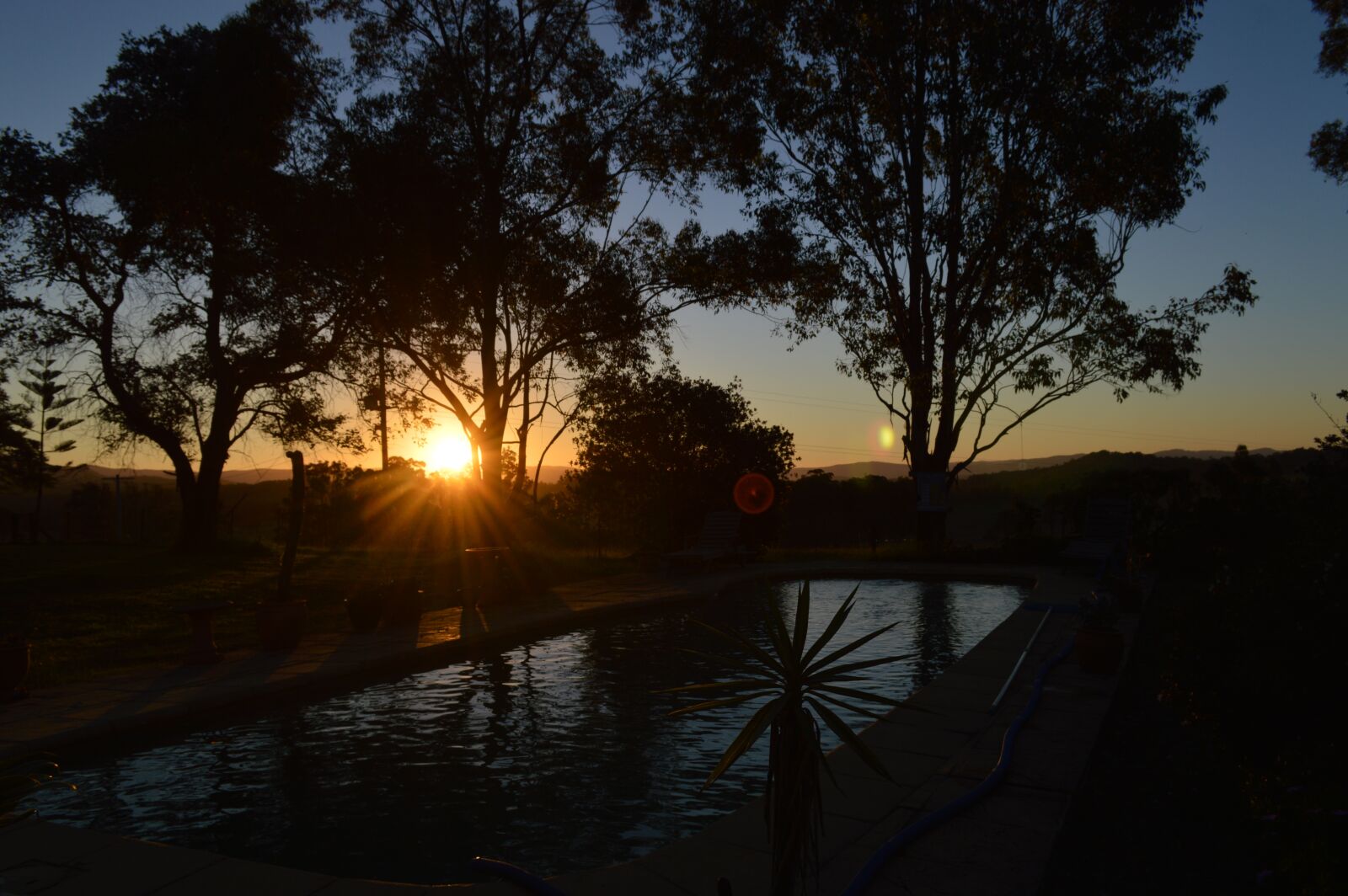 Nikon D3200 sample photo. Hunter, valley, nsw photography