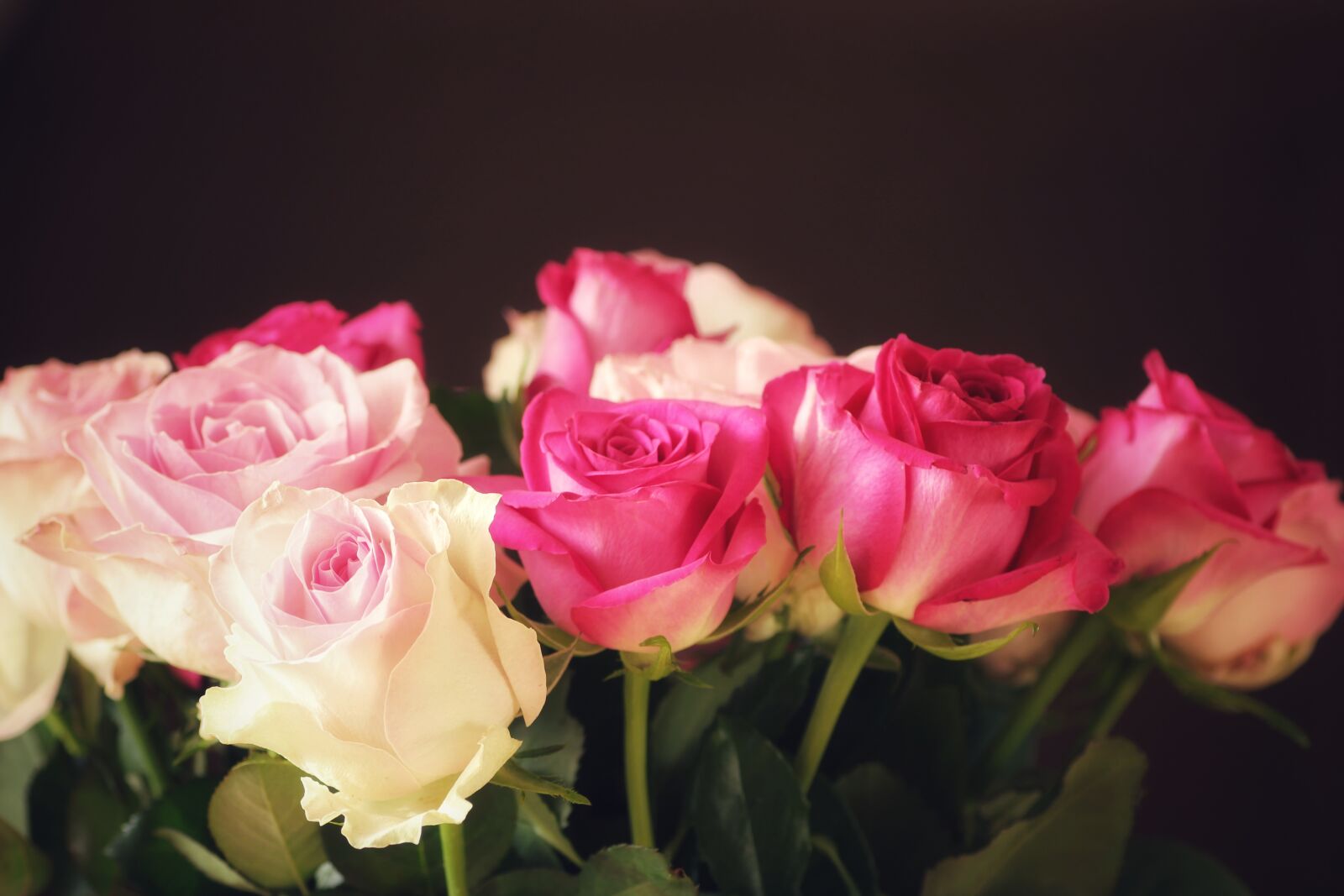 Tamron SP 90mm F2.8 Di VC USD 1:1 Macro sample photo. Roses, flowers, bouquet photography