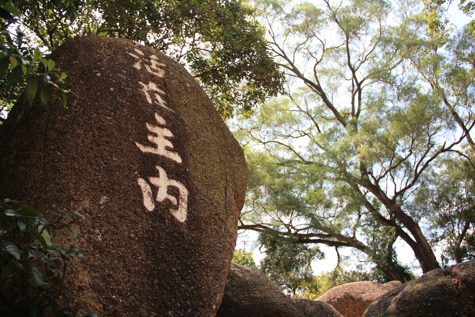 Canon EOS 600D (Rebel EOS T3i / EOS Kiss X5) sample photo. Living, stone, trees photography