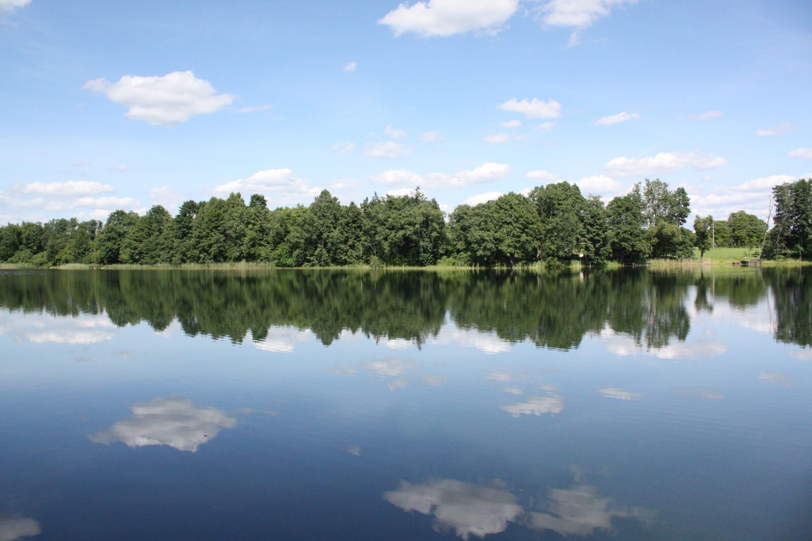 Canon EOS 450D (EOS Rebel XSi / EOS Kiss X2) sample photo. Lake, trees, nature photography