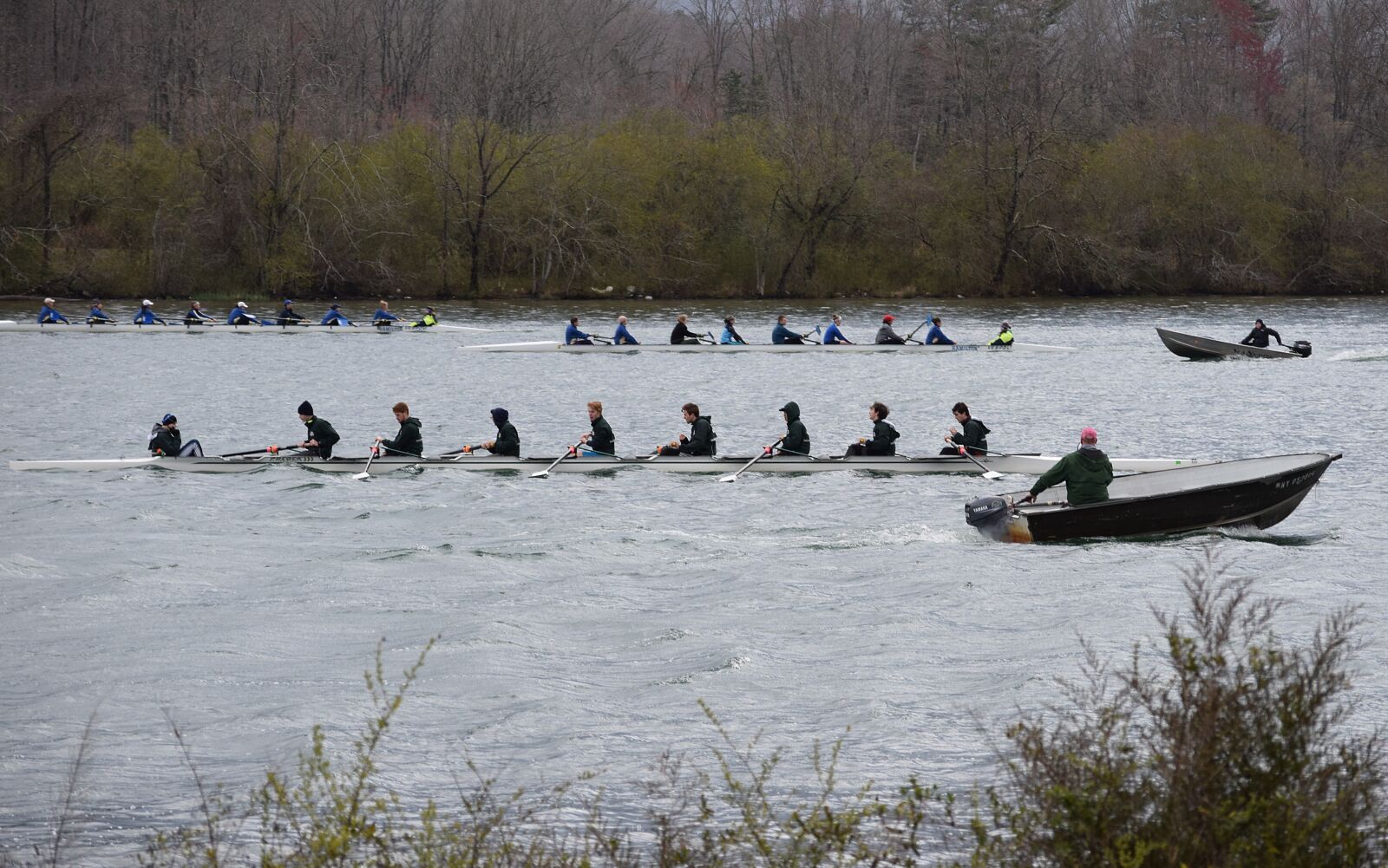 Nikon D3300 sample photo. Scull rowing, clinch river photography