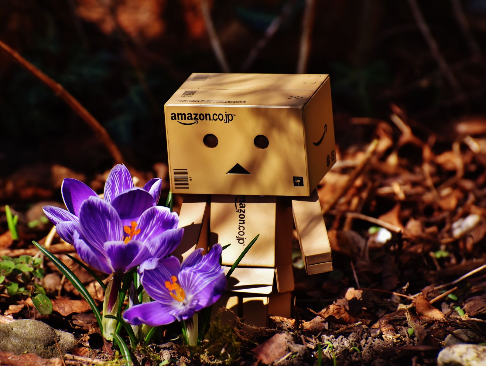Nikon D7200 sample photo. Harbinger of spring, danbo photography