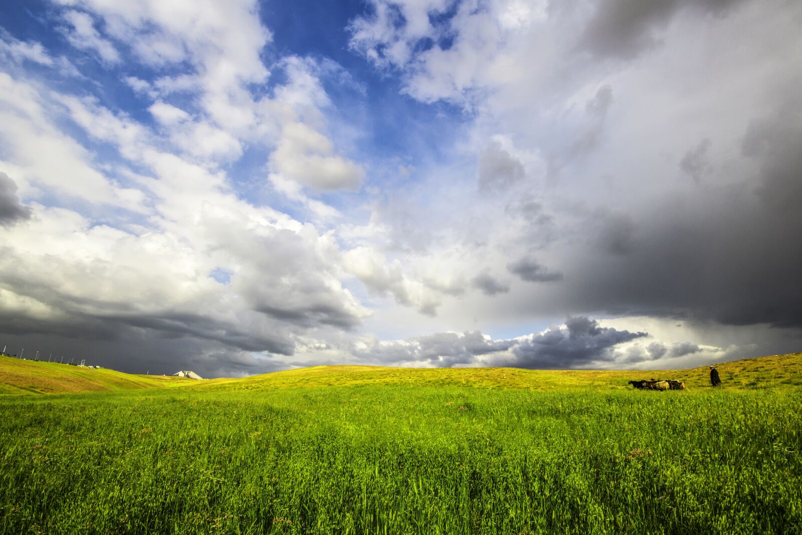 Canon EOS 60D sample photo. Green, landscape, spring photography