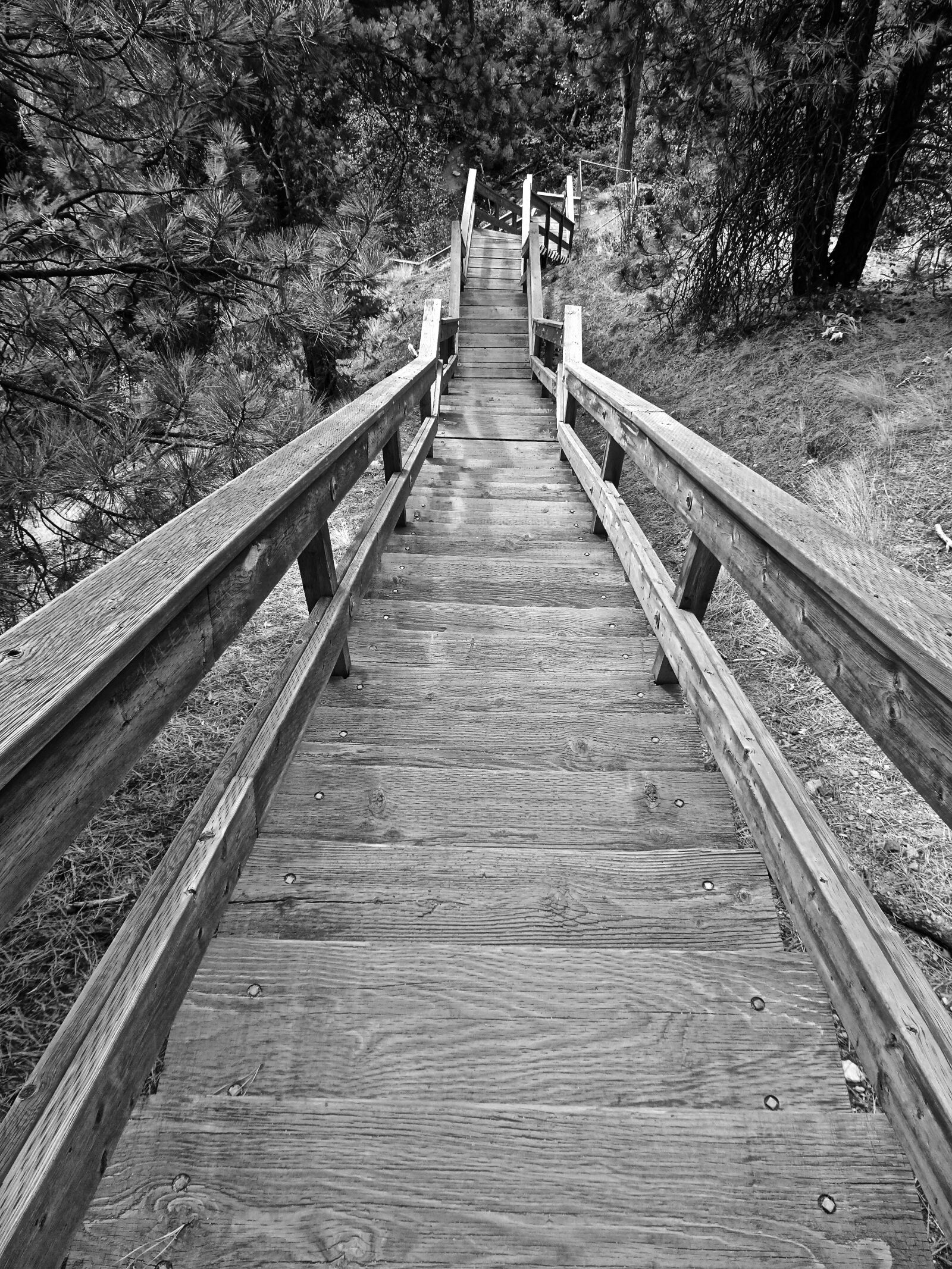 Sony Cyber-shot DSC-HX90V sample photo. Stairway, wooden, perspective photography