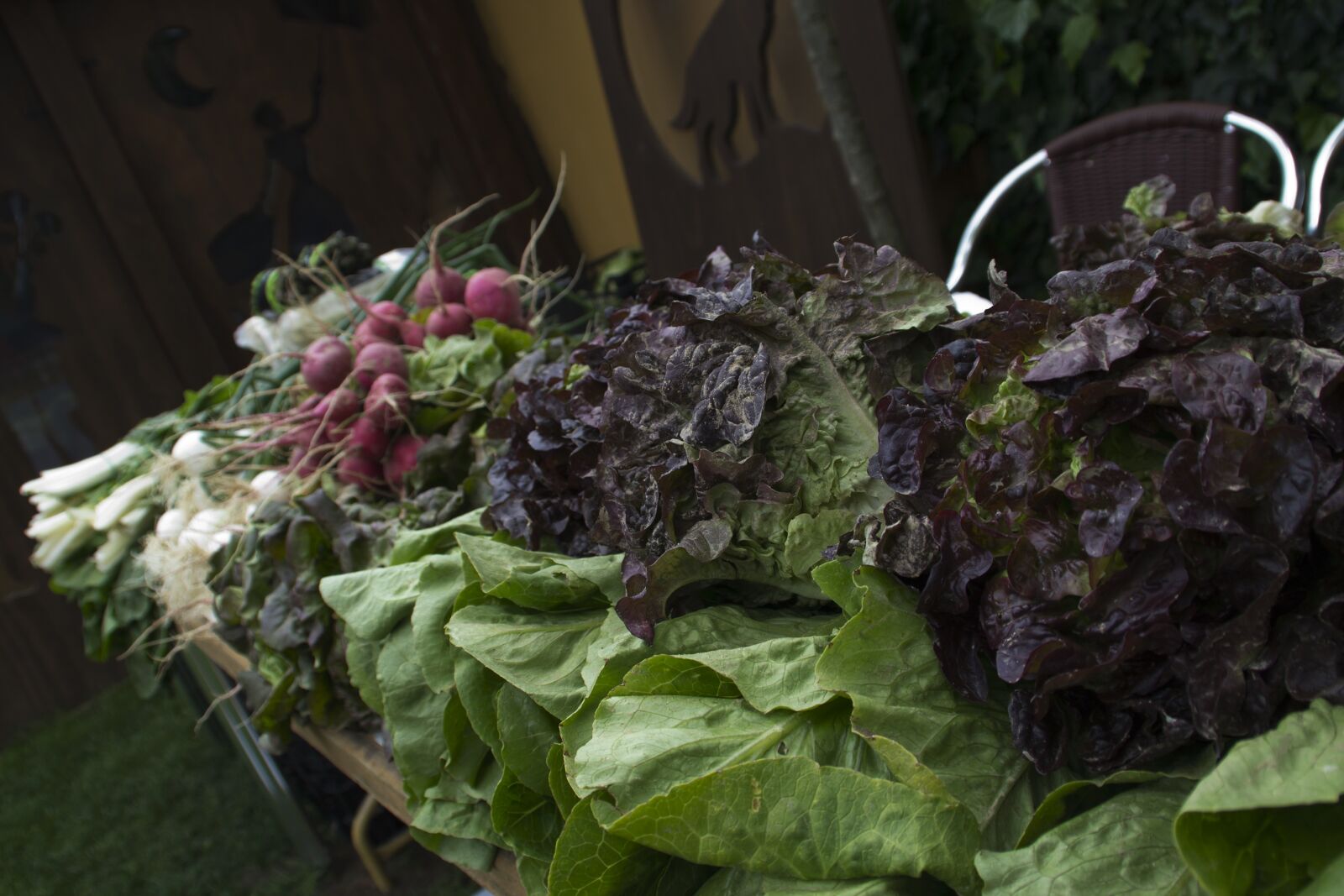 Canon EOS 600D (Rebel EOS T3i / EOS Kiss X5) sample photo. Vegetables, food, lettuce photography