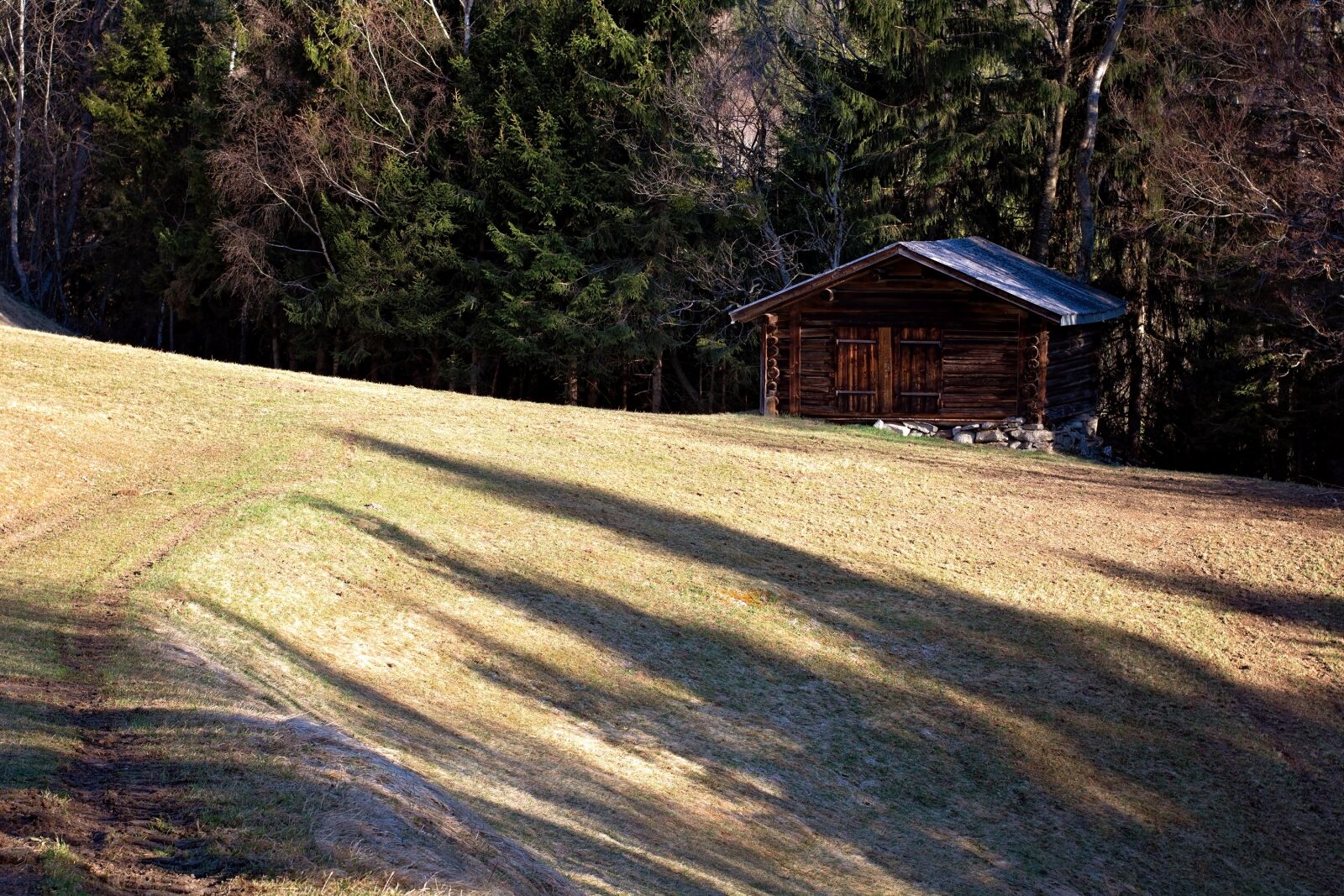 Nikon D7100 sample photo. Hut, log cabin, meadow photography