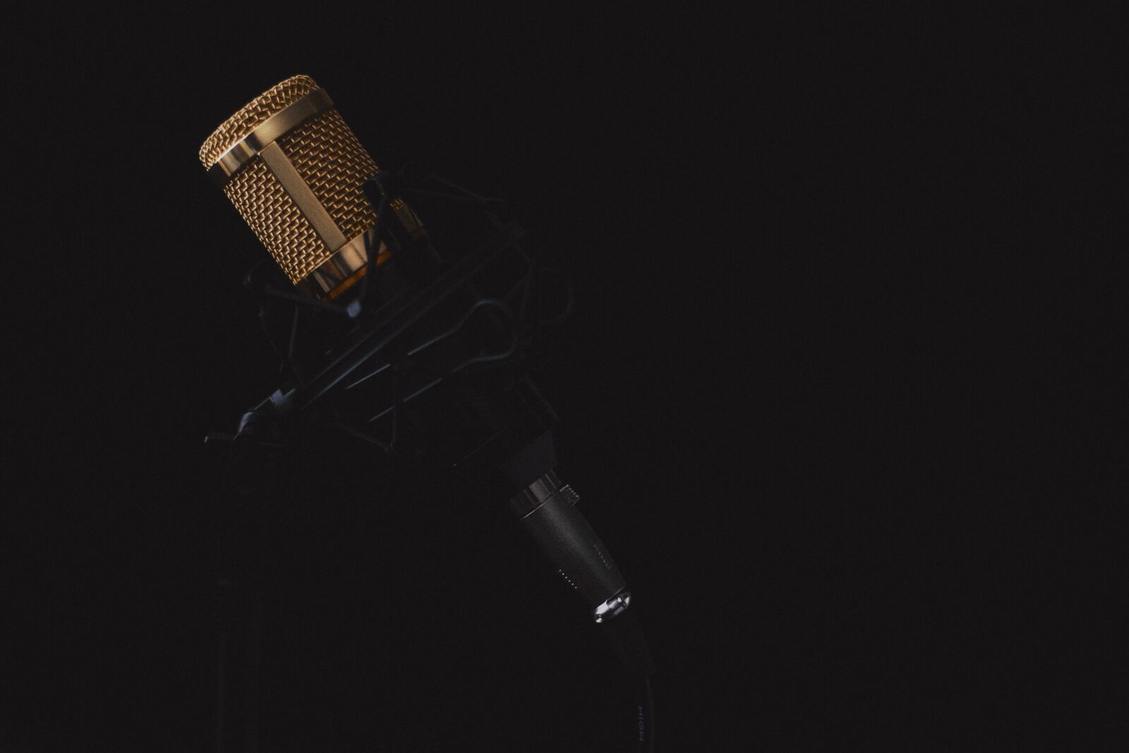 Nikon D3100 sample photo. Microphone, music, sound photography
