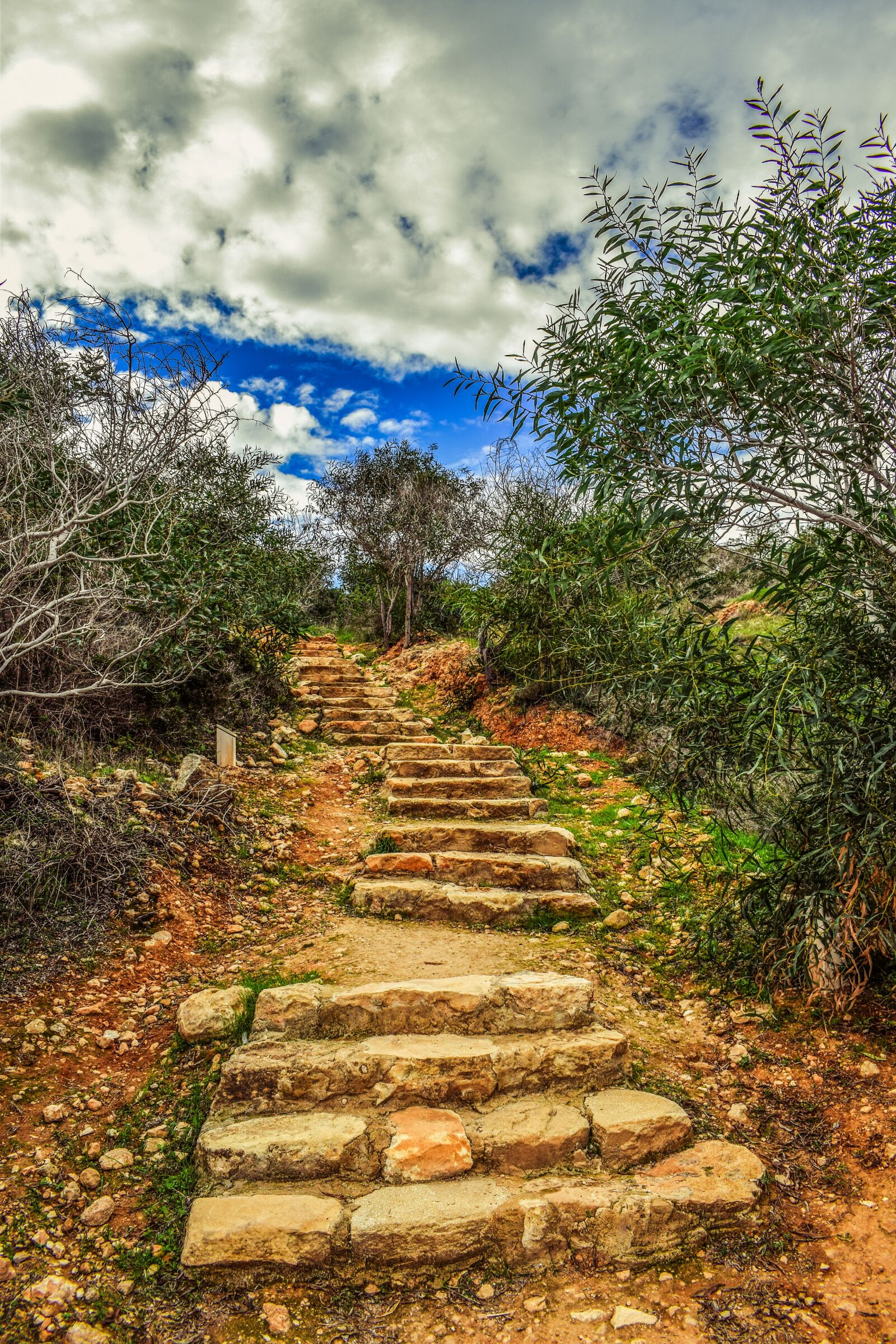 Nikon D3300 sample photo. Stairs, path, staircase photography