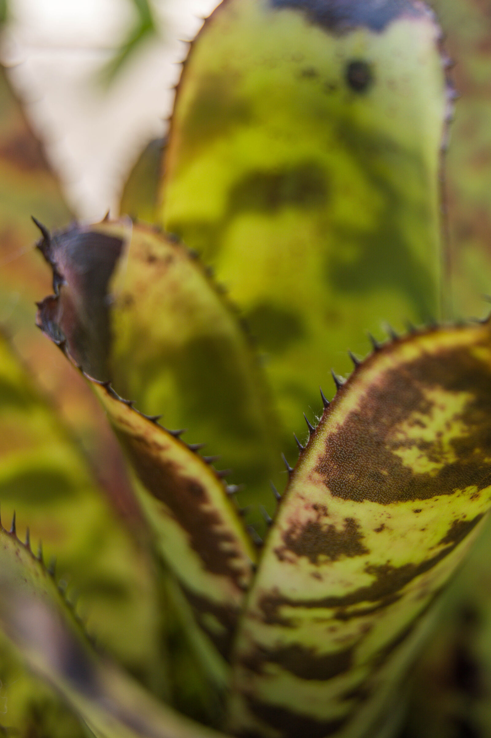 Nikon D3200 sample photo