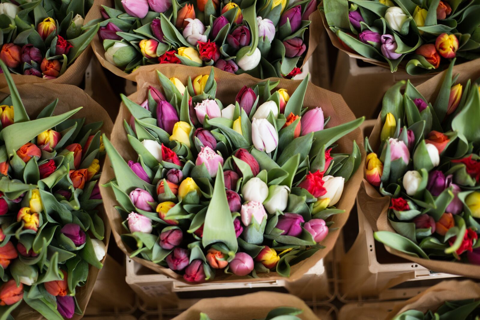 Canon EOS 6D + Canon EF 50mm F1.8 STM sample photo. Tulips, flowers, bouquet photography