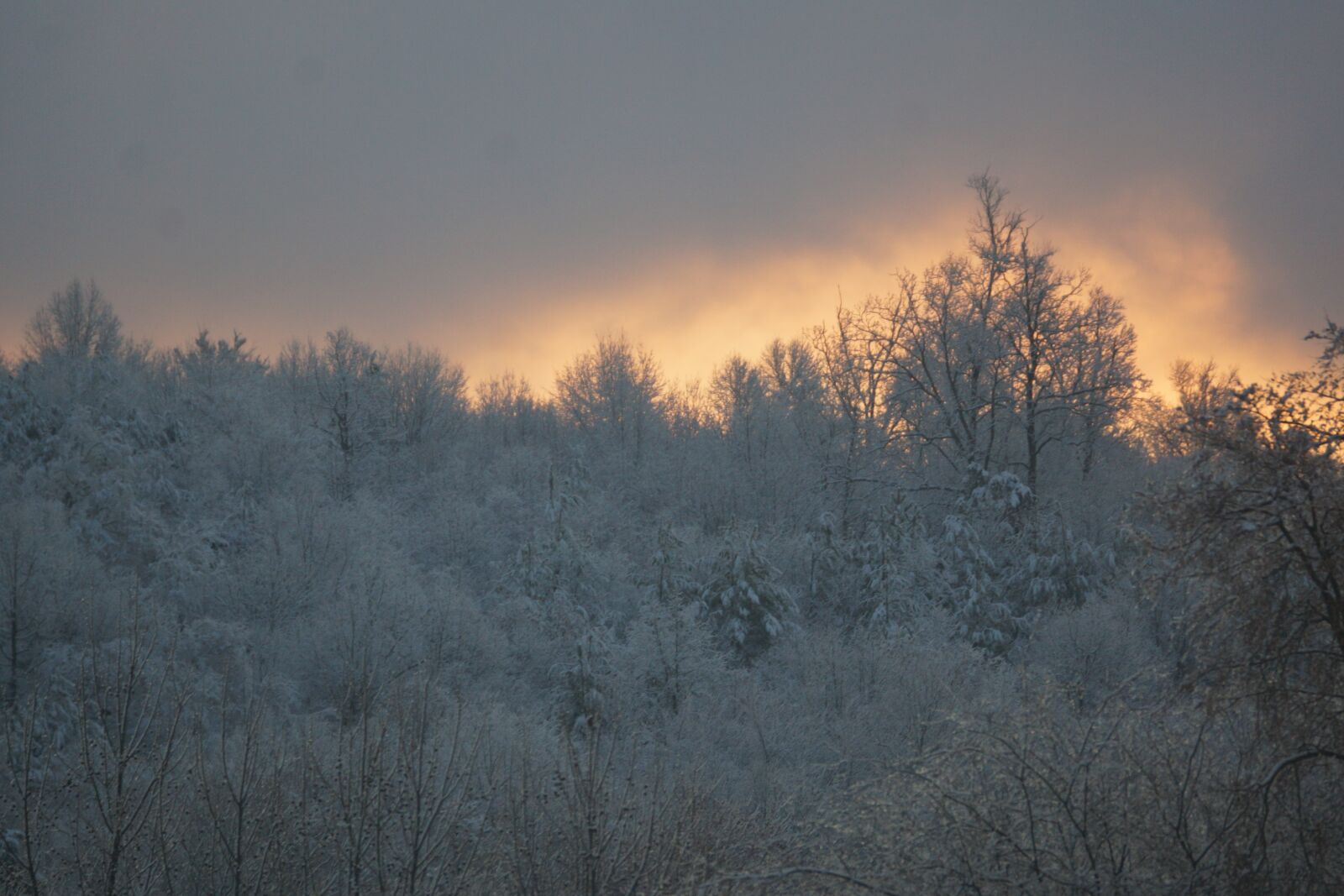 Sony SLT-A77 sample photo. Snow, landscape, winter photography