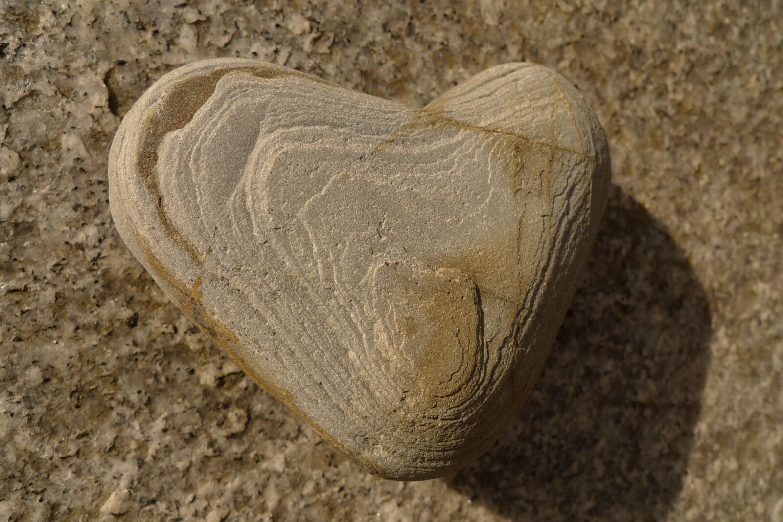 Leica D-LUX 4 sample photo. Stone, heart, heart shape photography