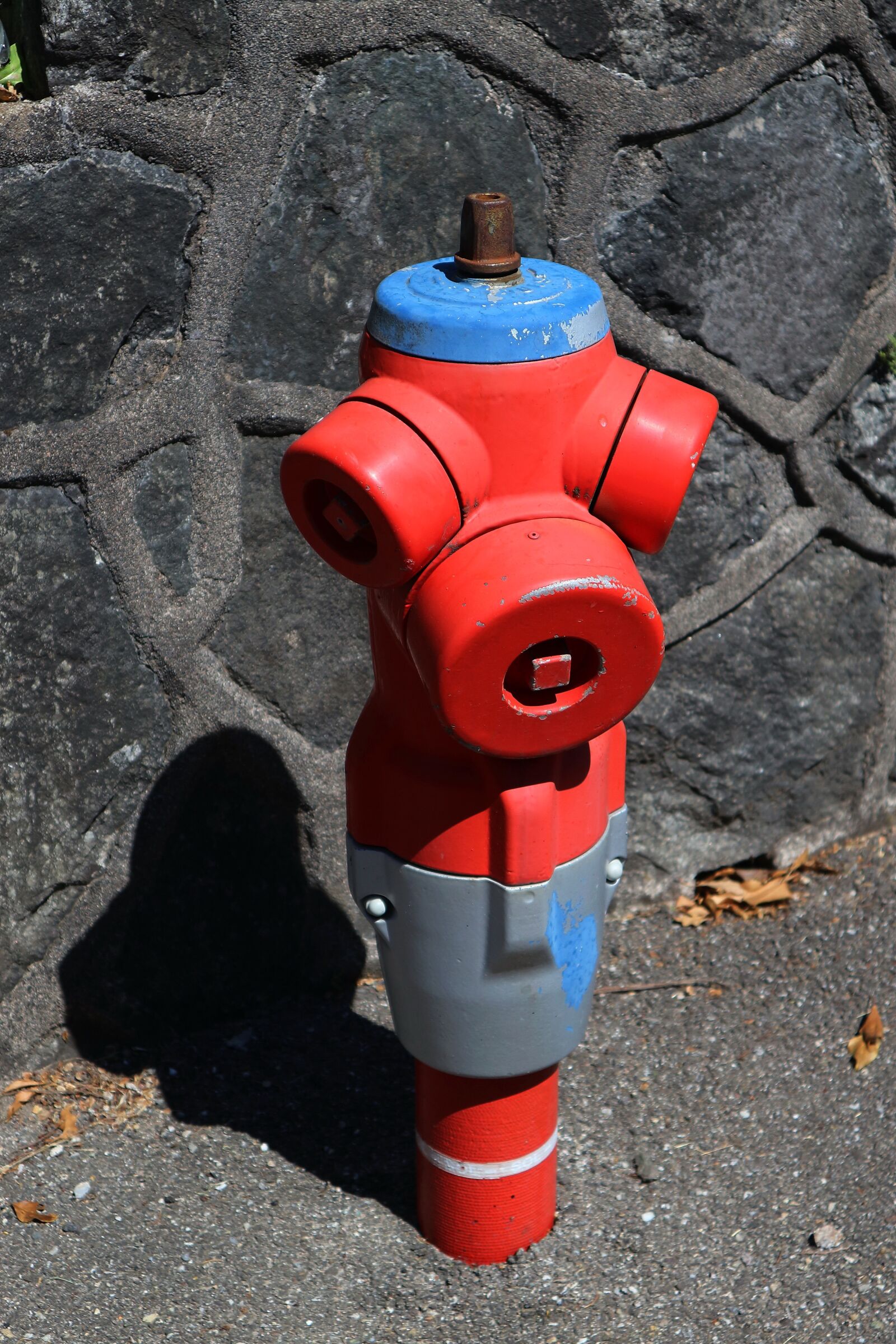 Canon EOS M10 sample photo. Hydrant, water, water supply photography
