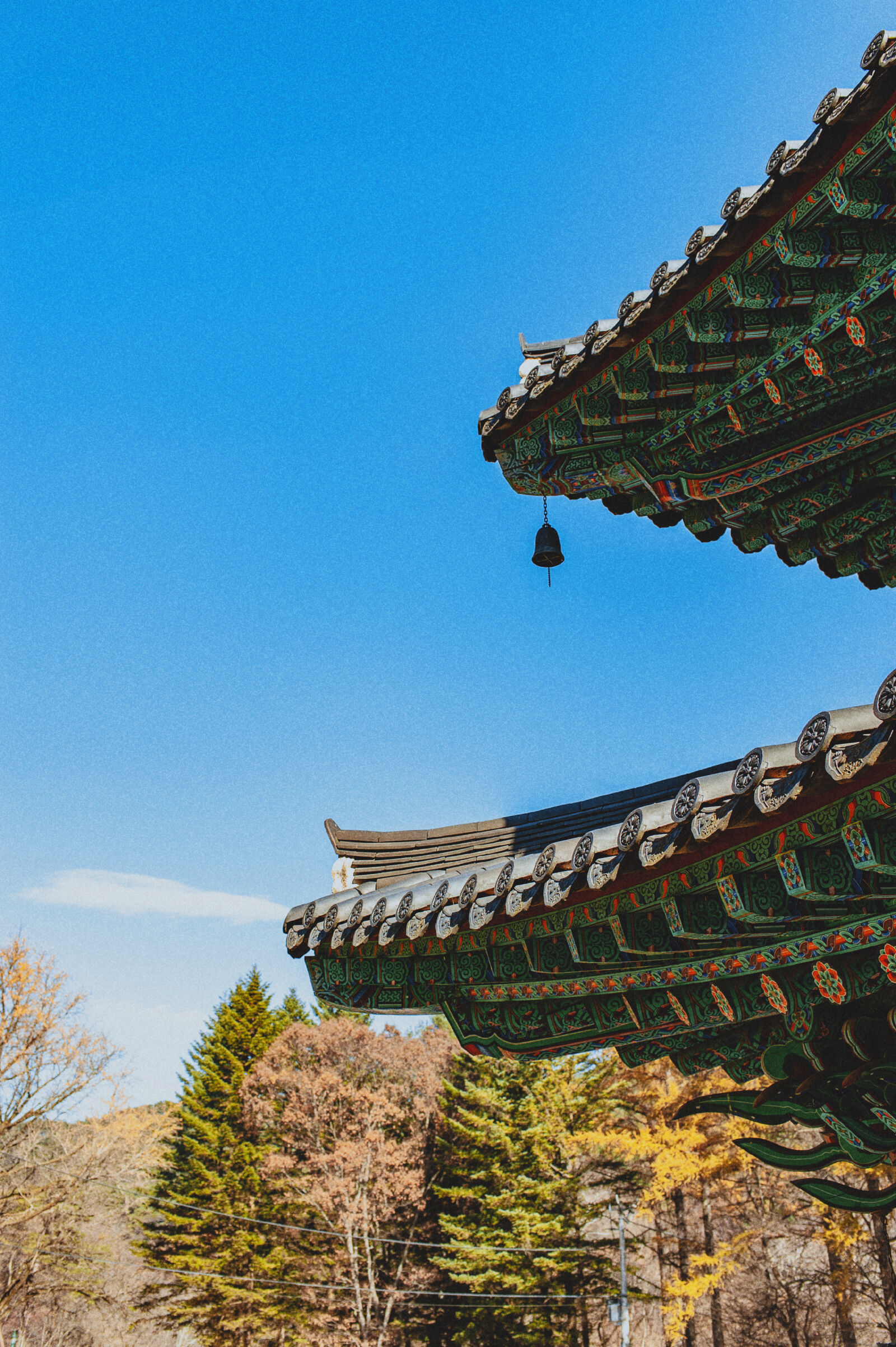 Nikon D700 sample photo