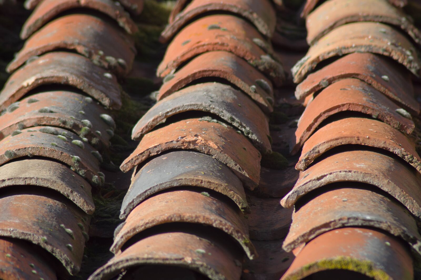 Tamron AF 70-300mm F4-5.6 Di LD Macro sample photo. Roofing, tiles, texture photography