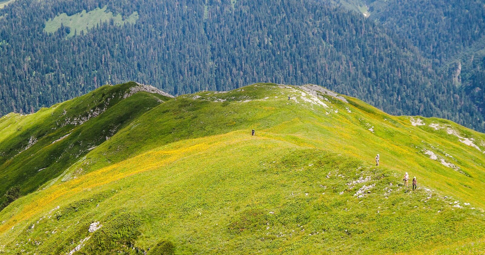 Samsung Galaxy S4 Zoom sample photo. Mountains, abkhazia, ritsa photography