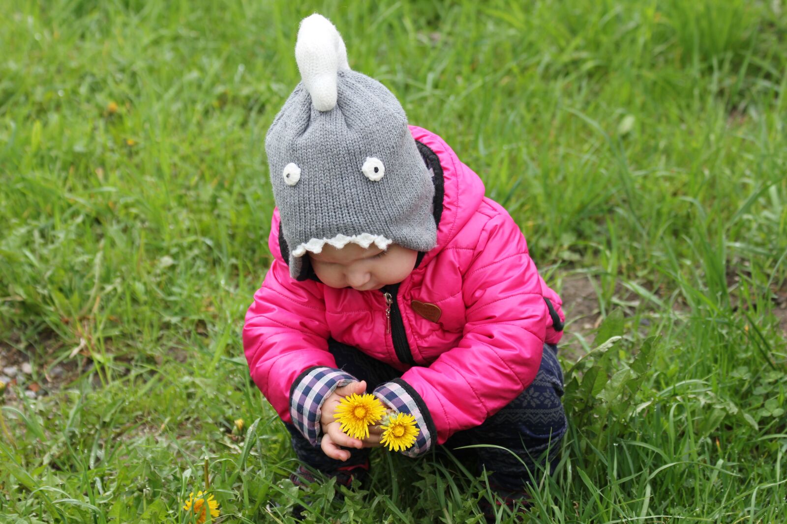 Canon EOS 550D (EOS Rebel T2i / EOS Kiss X4) sample photo. Child, baby girl, dandelions photography