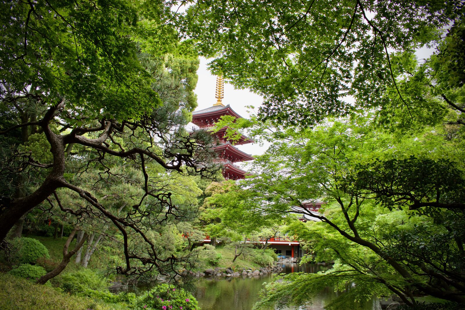 Nikon D5300 sample photo. Nature, pagoda, temple photography