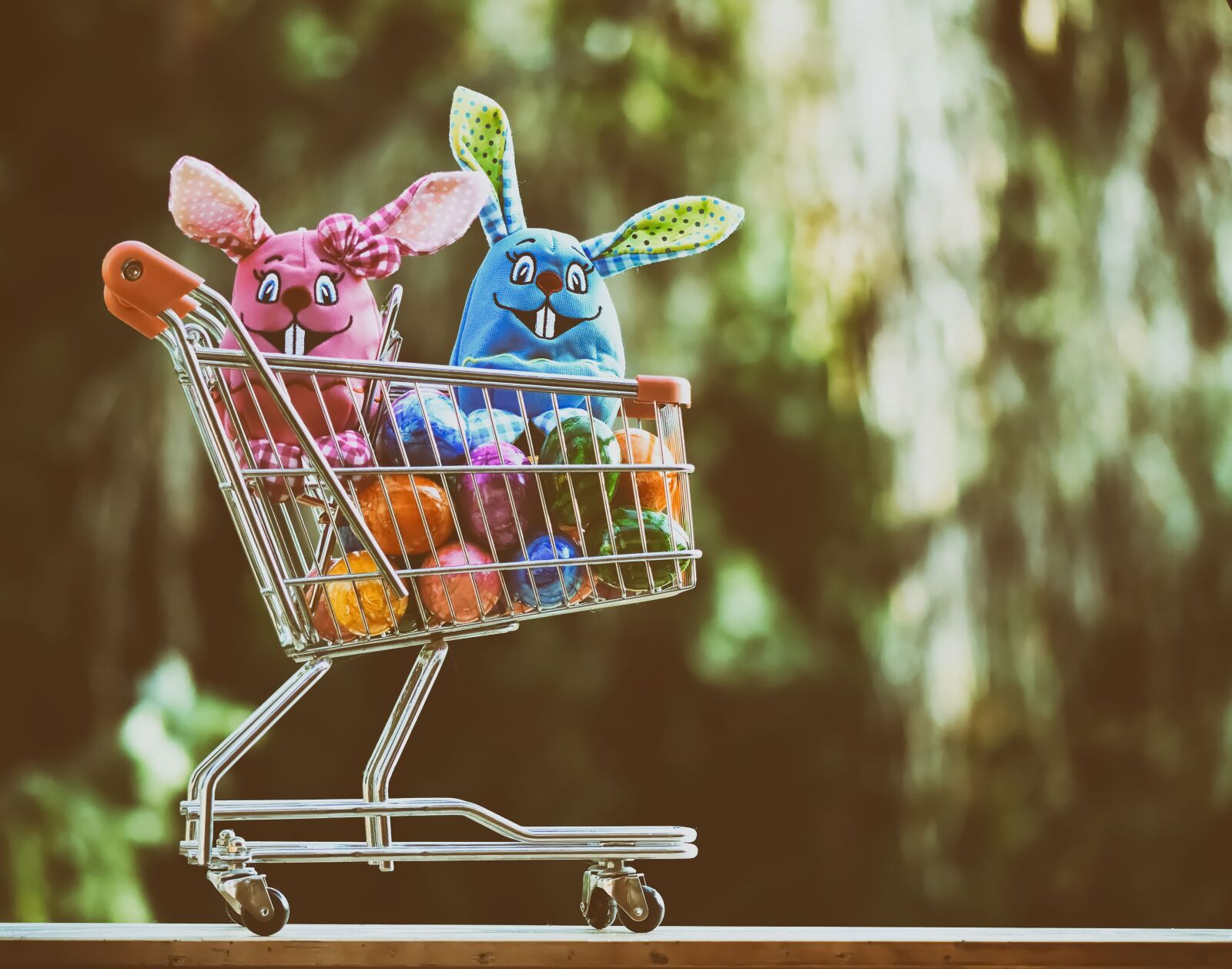 Nikon D7200 sample photo. Easter, purchasing, shopping cart photography