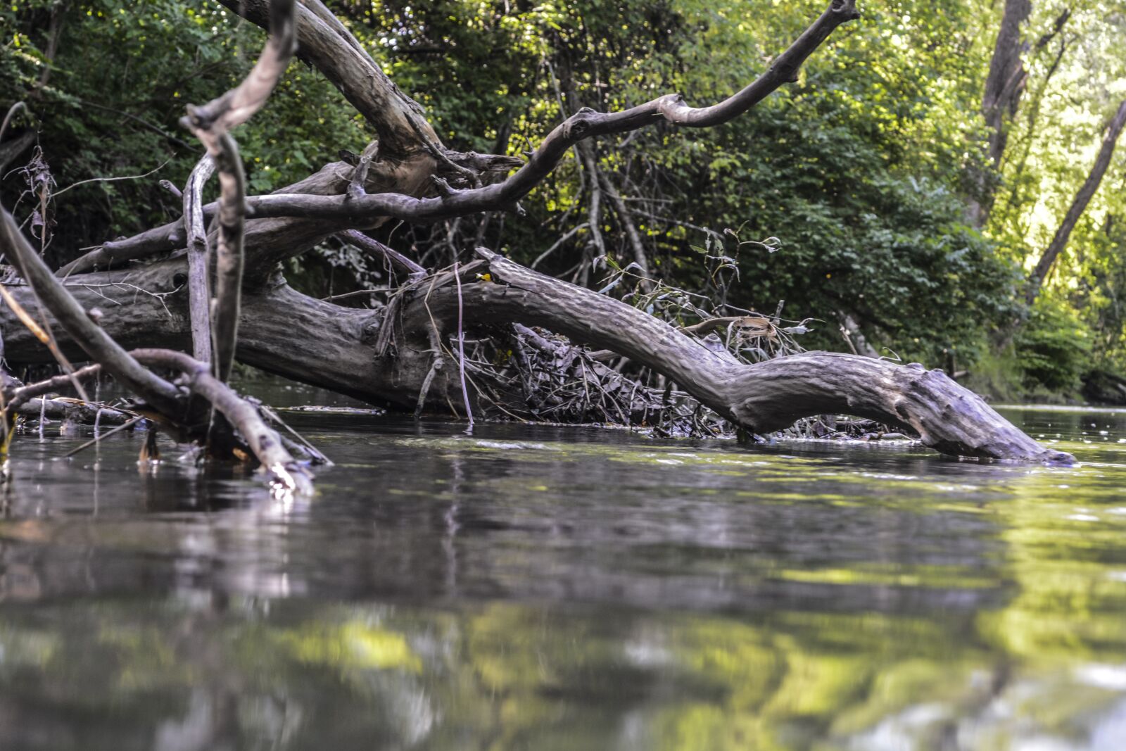 Nikon D5200 sample photo. Water, nature, environment photography