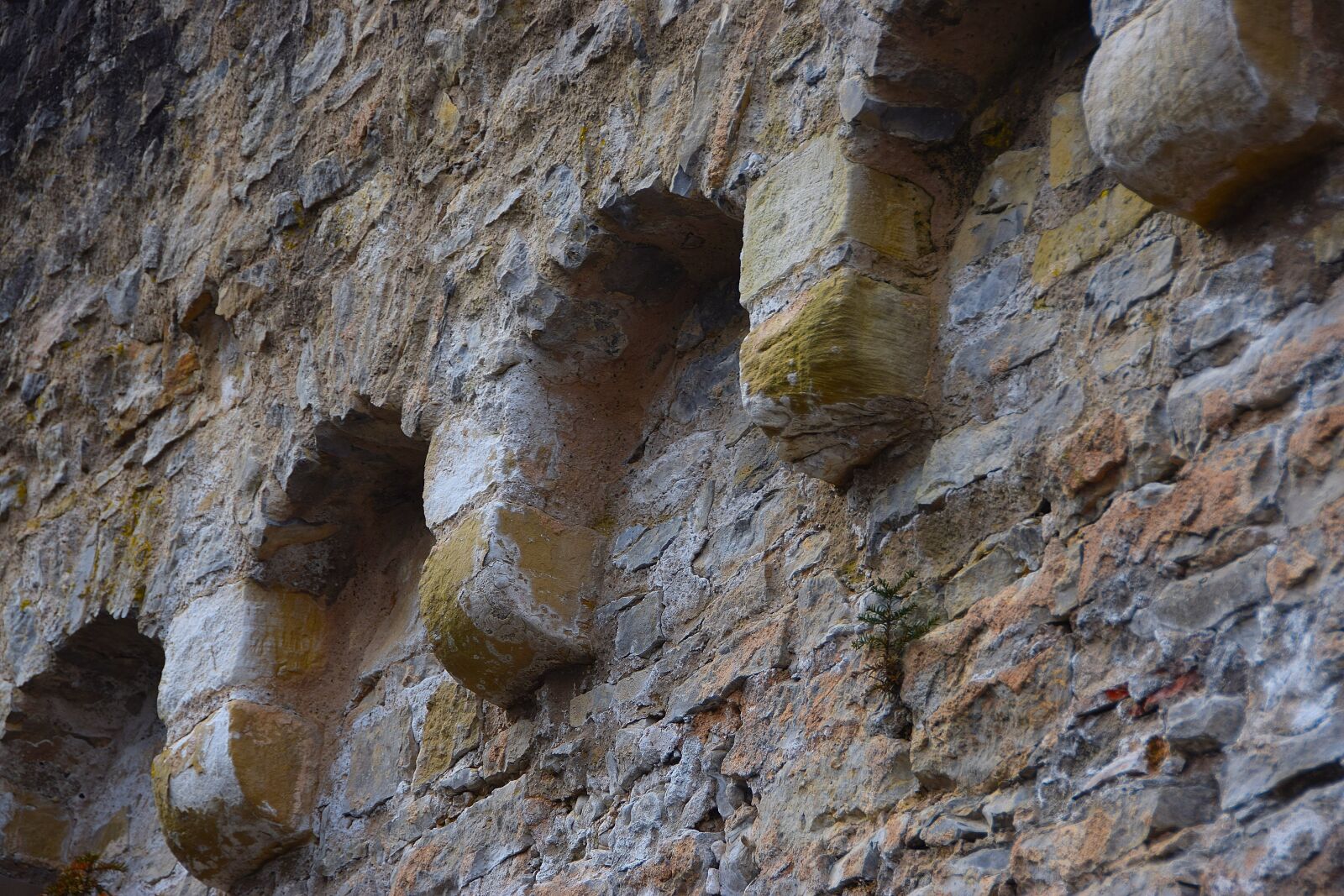 Nikon D3300 sample photo. Castle, ruin, middle ages photography